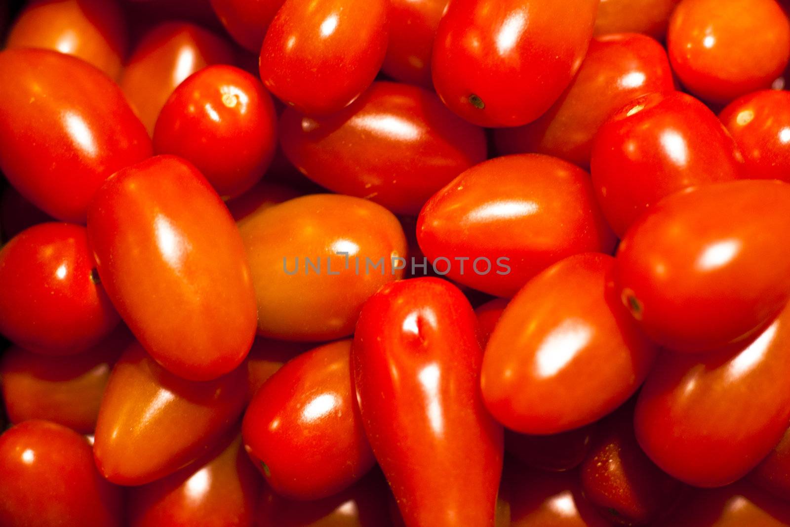 Genetically modified tomatos by kasto