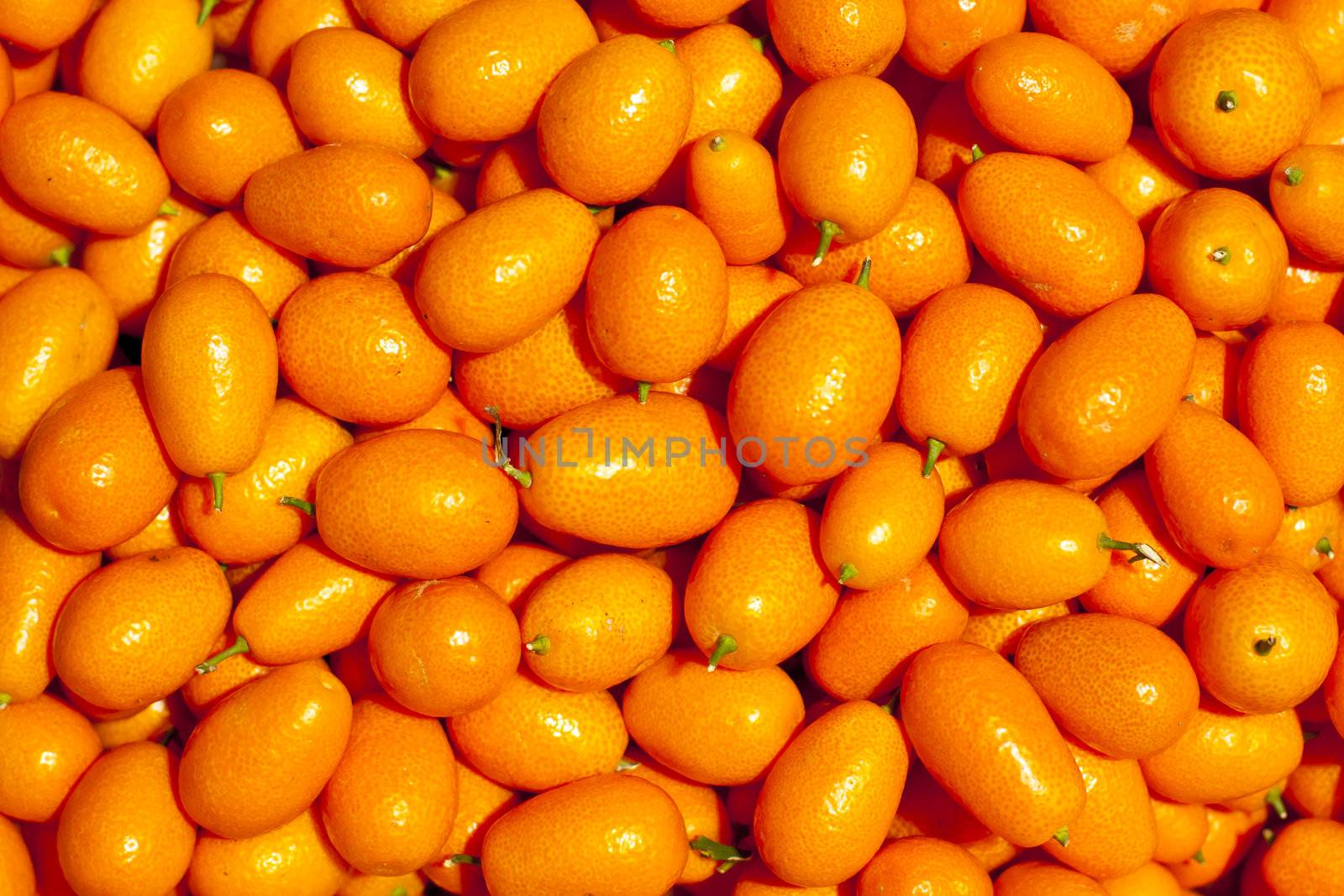 Genetically modified mandarins by kasto