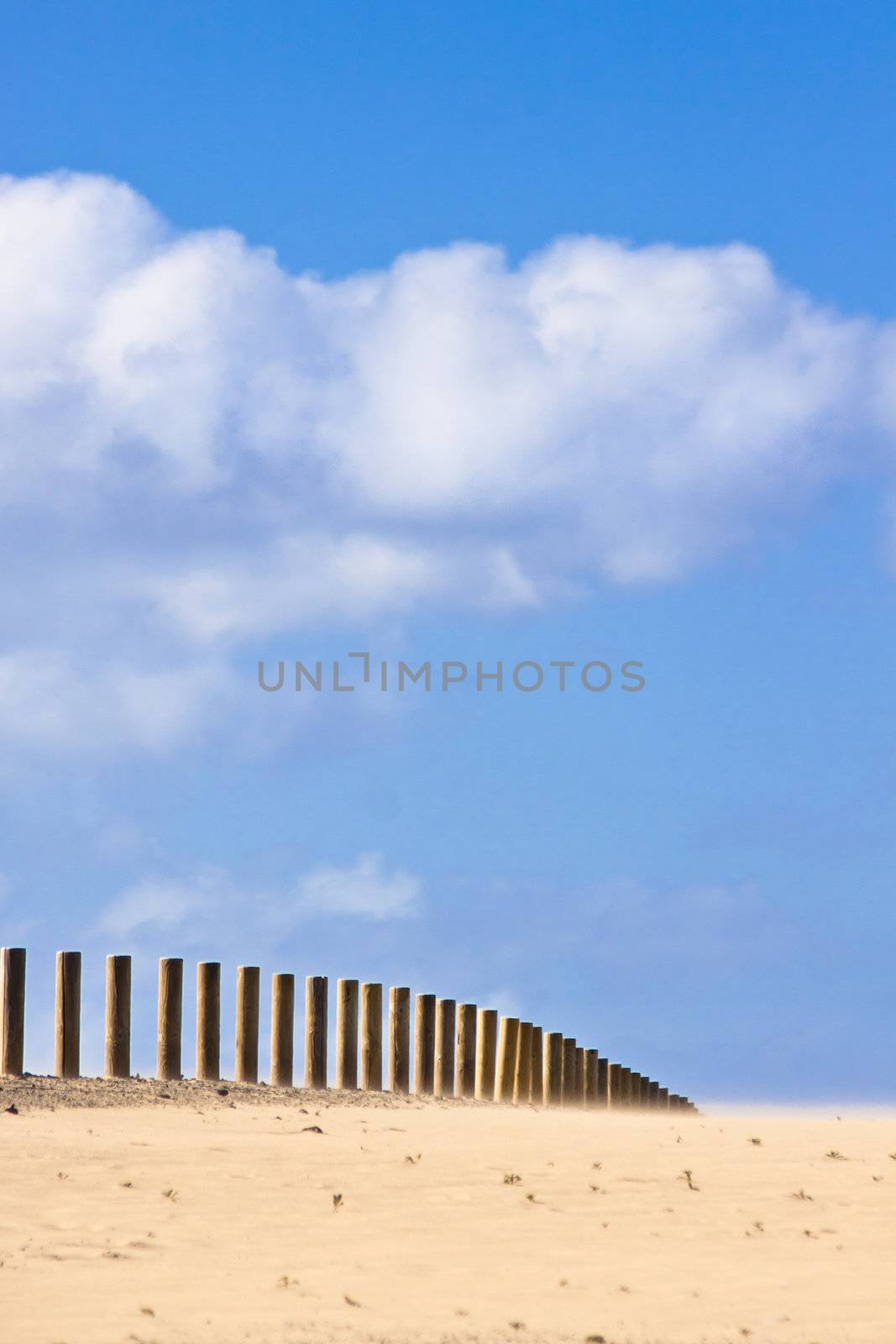 Wooden fence dissapearing into the infinity of the dessert.