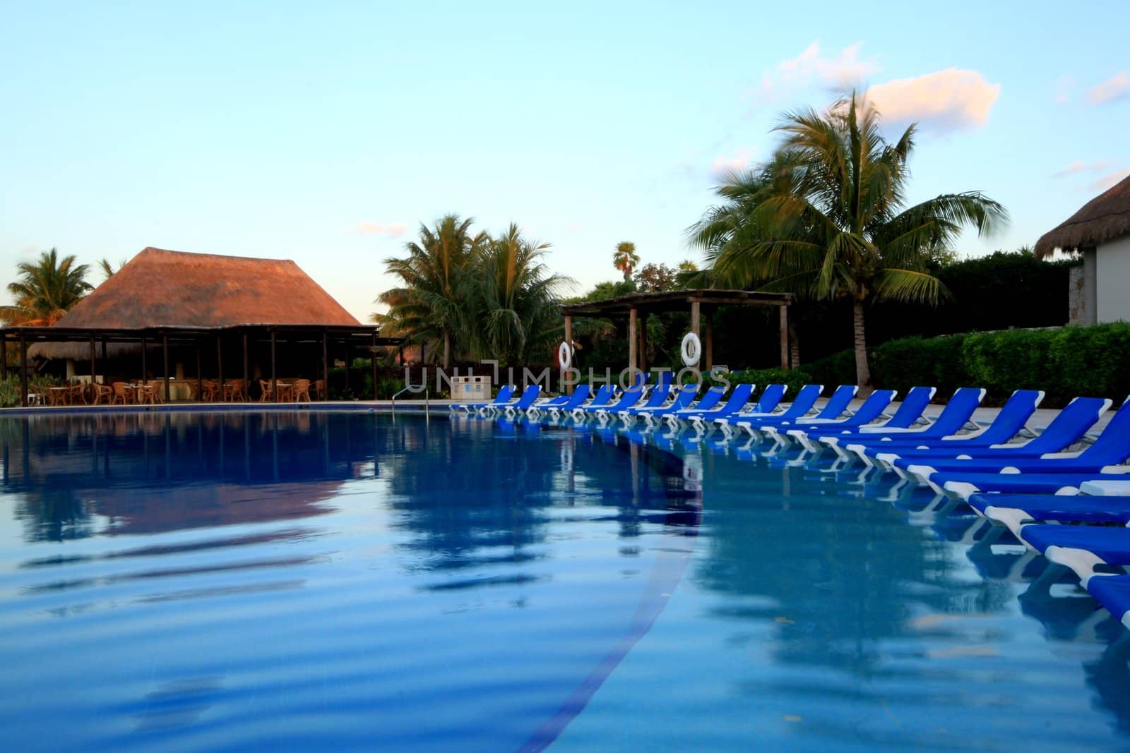 Row of beach chairs on inside rim of pool