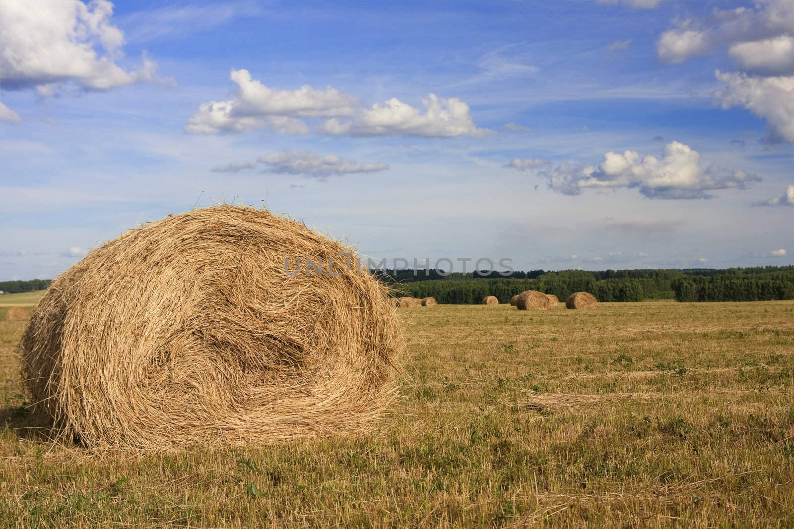 haystack on the field in summer