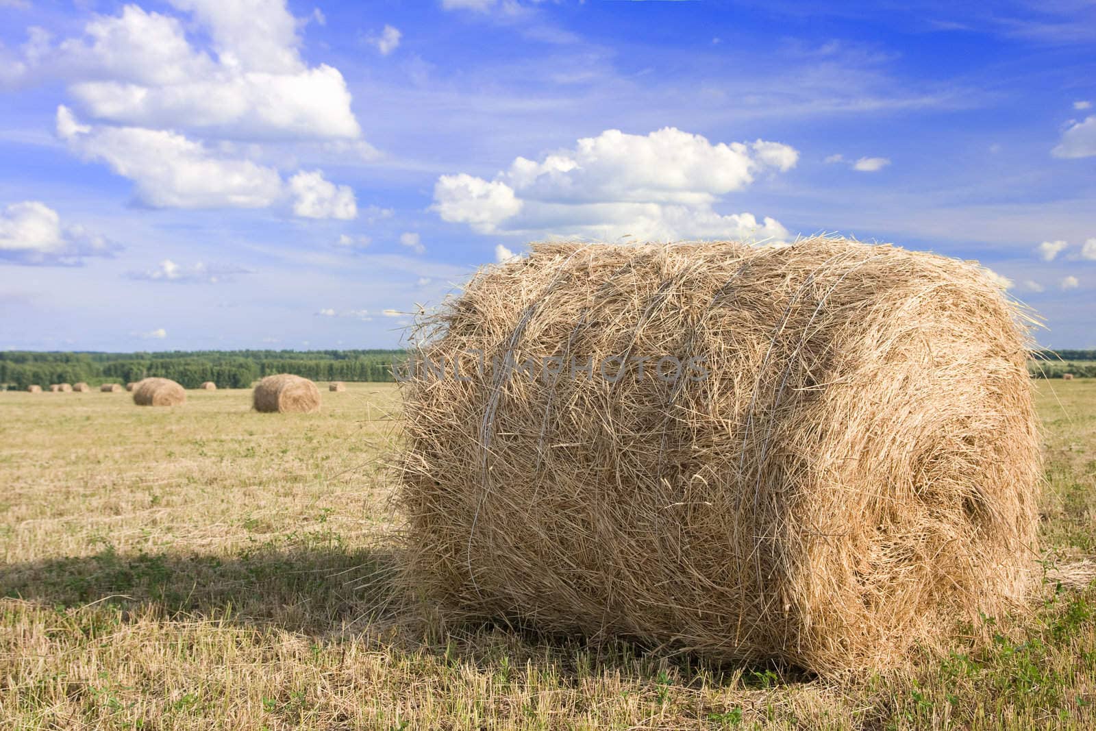 haystack on the meadow in summer