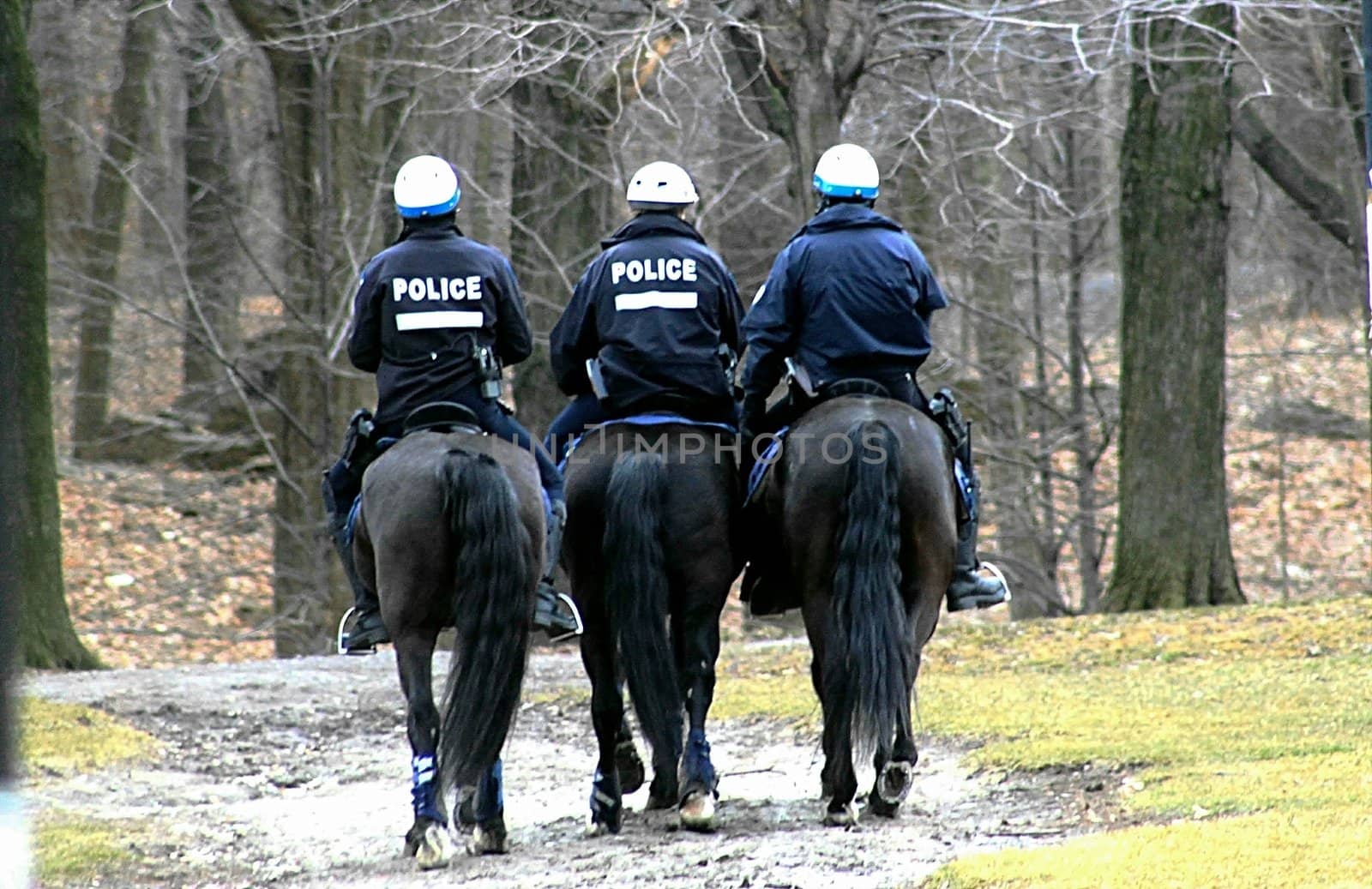 Police on horseback patrolling a park