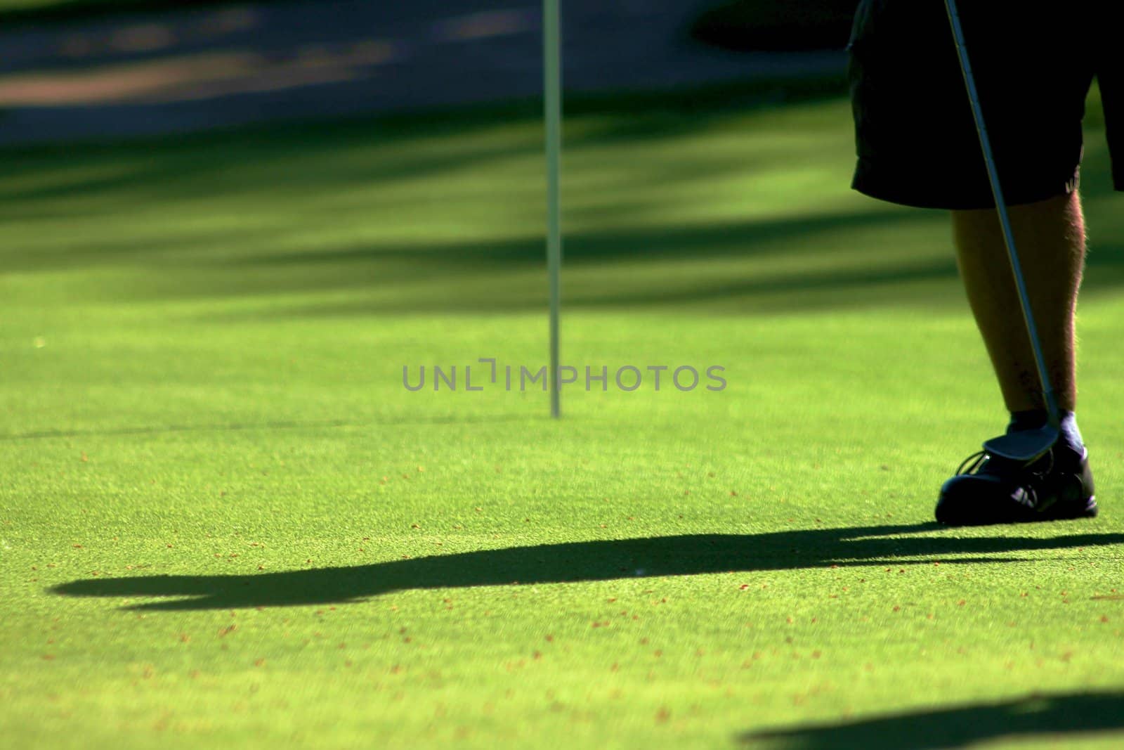 Golfer on the green at pin high