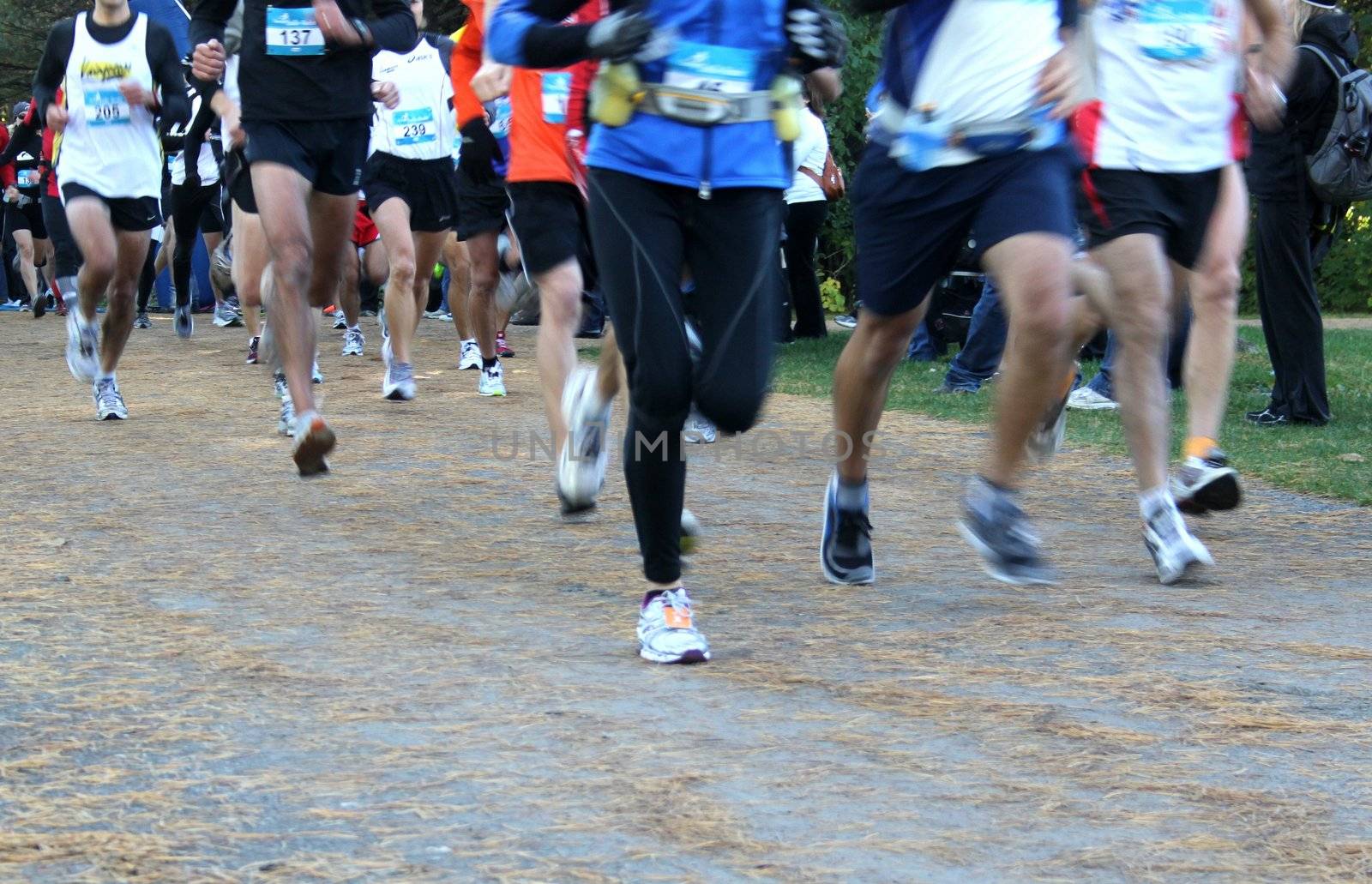 Joggers in a charity marathon