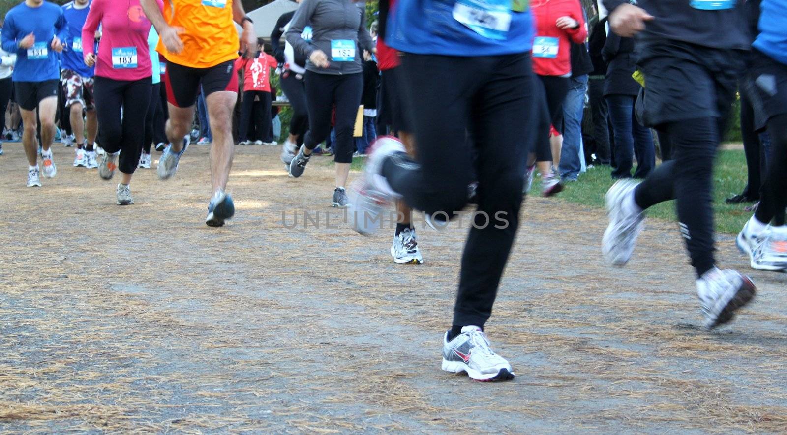 Runners in a charity marathon