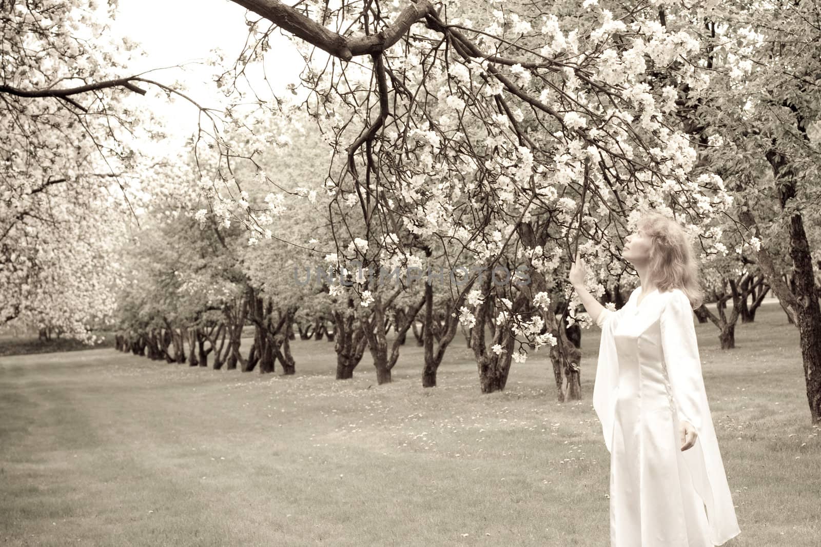 Tne blonde girl in white dress and apple-tree with white flowers
