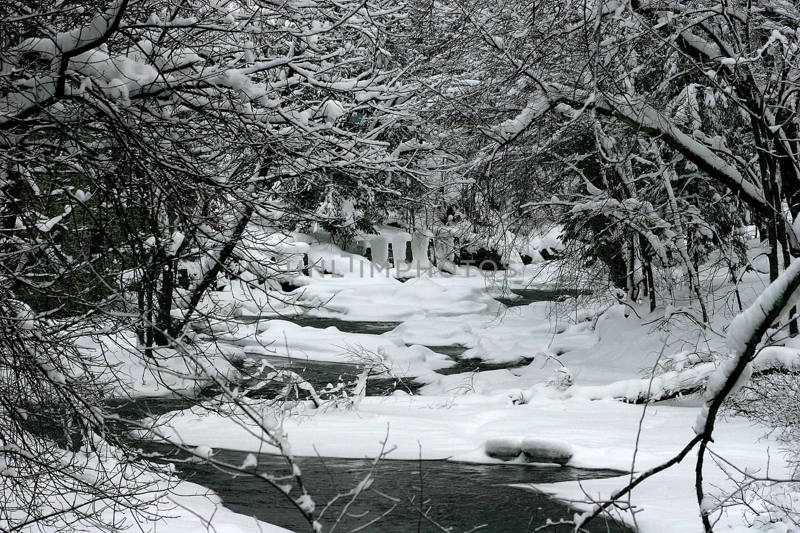 River bank after a snowstorm in the Eastern Townships