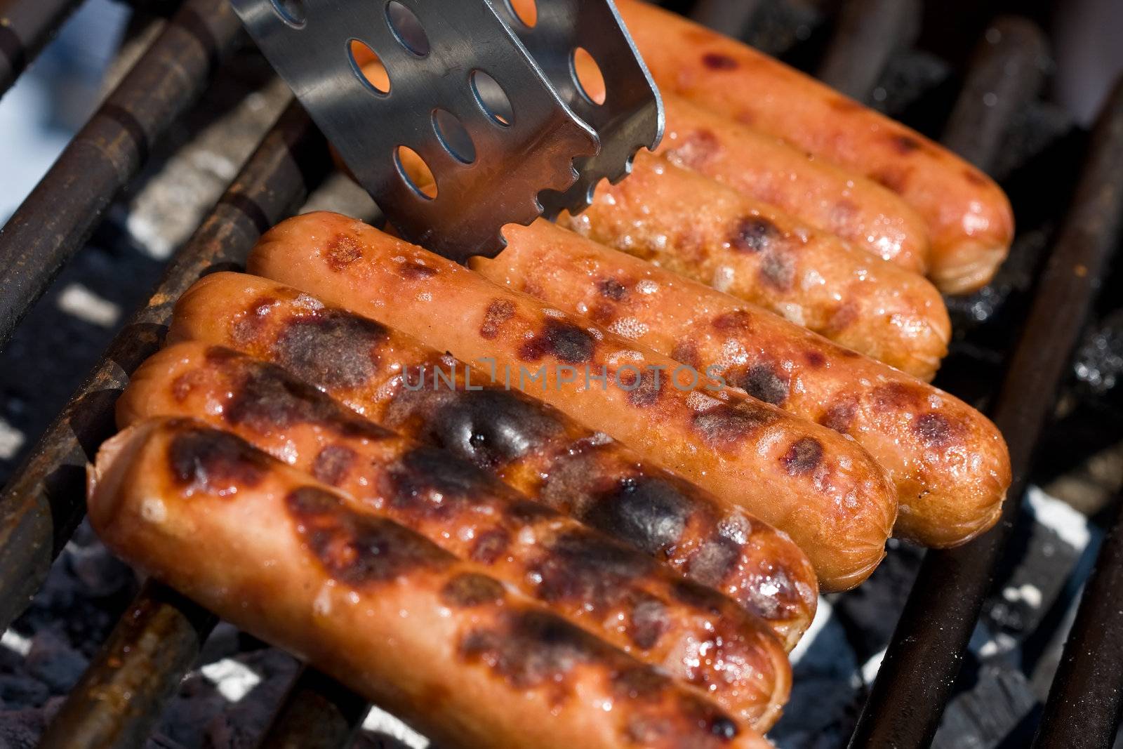 hotdogs on the grill outdoor on a small grill