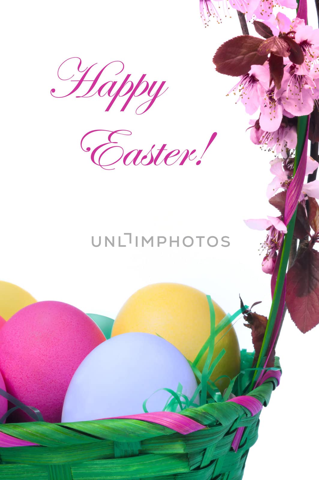 Easter colored eggs in the basket on the white background