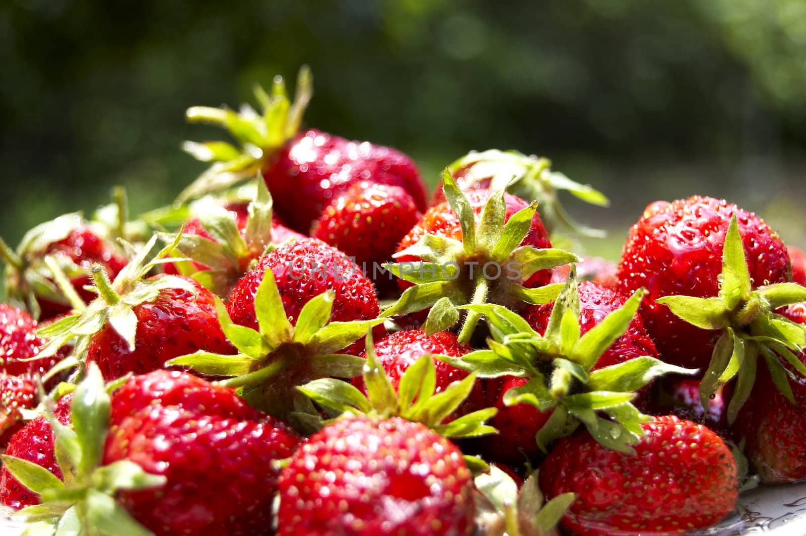 fresh strawberry 