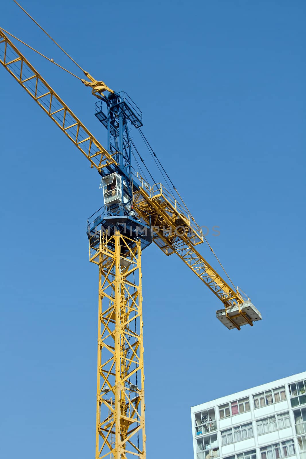 crane in action on a blue sky and building