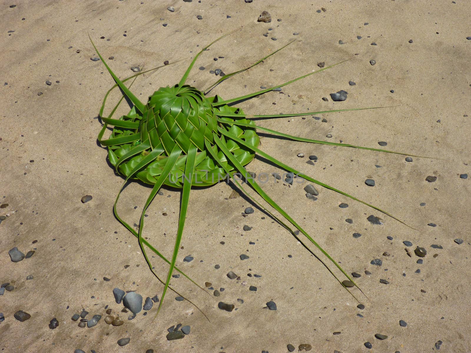 hat rtom green leaves on the sand  beach 