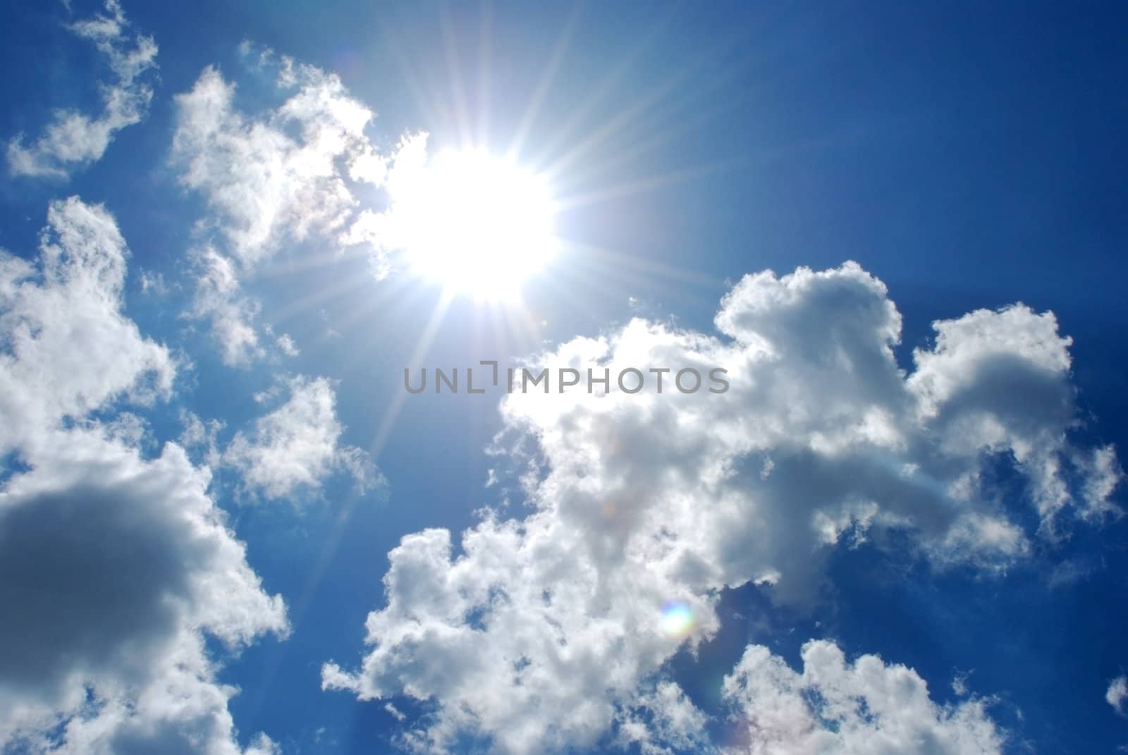 Vital flight in the free, dark blue and gentle sky through dense clouds