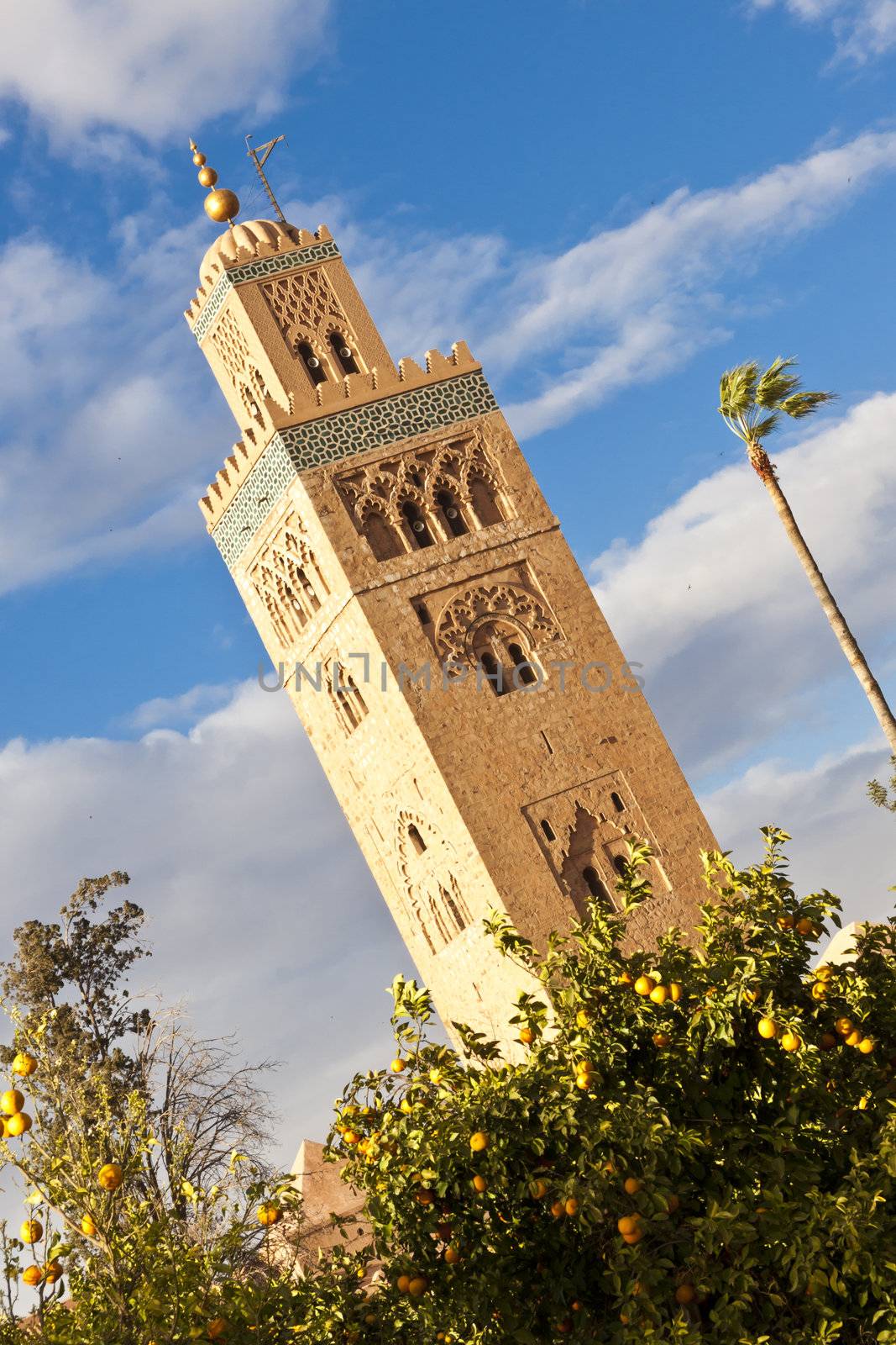 Mosque shot from the  garden in Marrakesh, Morocco