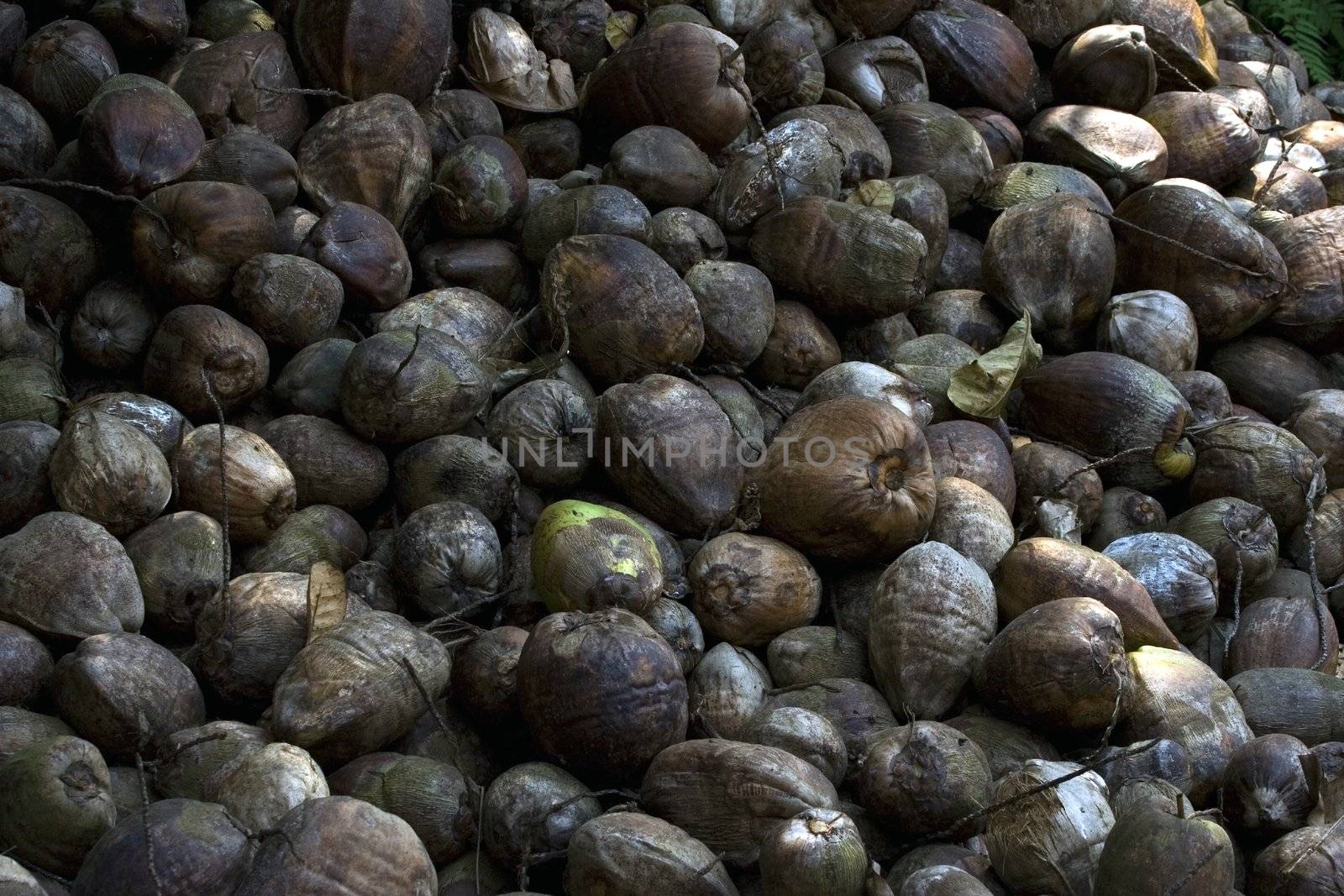 Background picture of tropical nuts