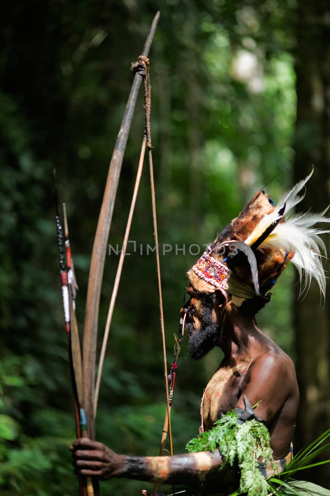 INDONESIA, NEW GUINEA, SECTOR SENGGI -  FEBRUARY 2: The Leader  of a Papuan tribe of Yafi in traditional clothes, ornaments and a coloring.  New Guinea Island, Indonesia.  February 2 2009