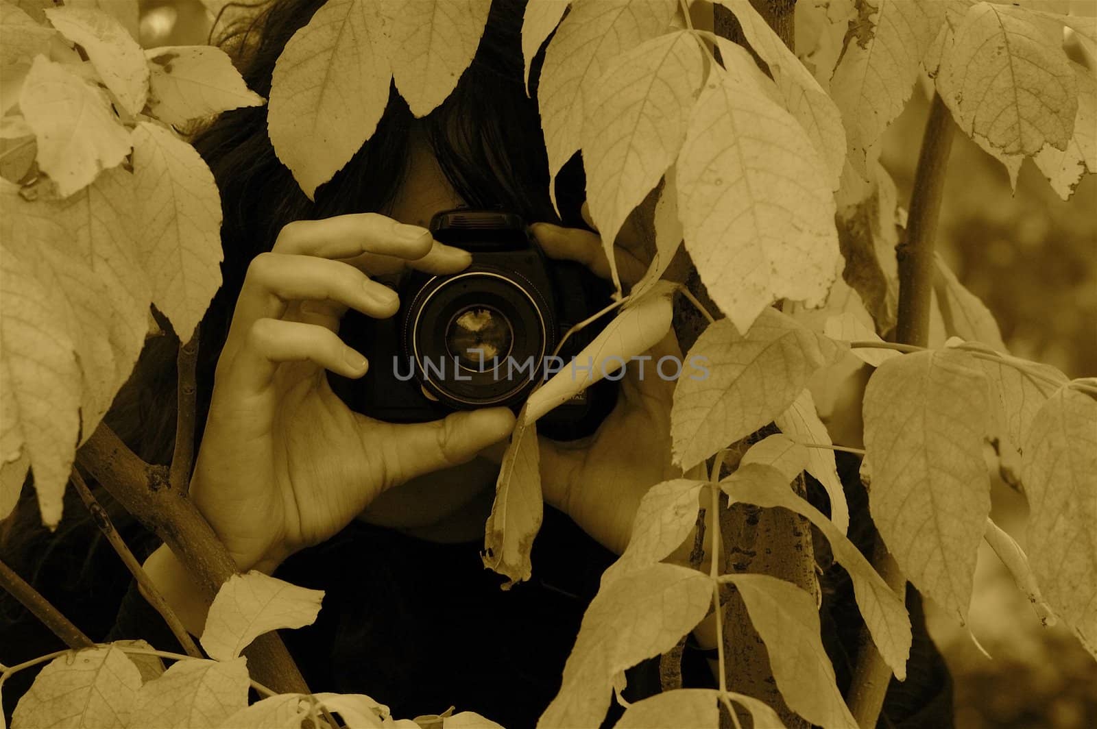 Photographer hiding through the leaves