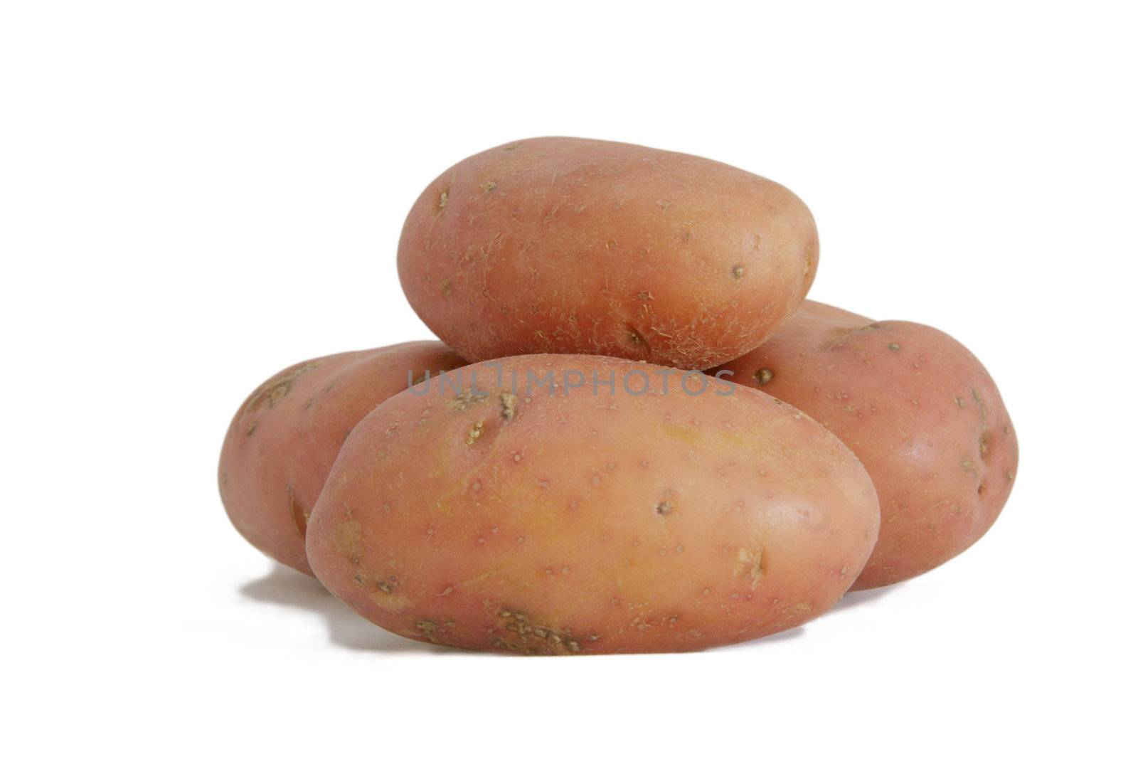 desiree a red skin potato  a very tasty root vegetable