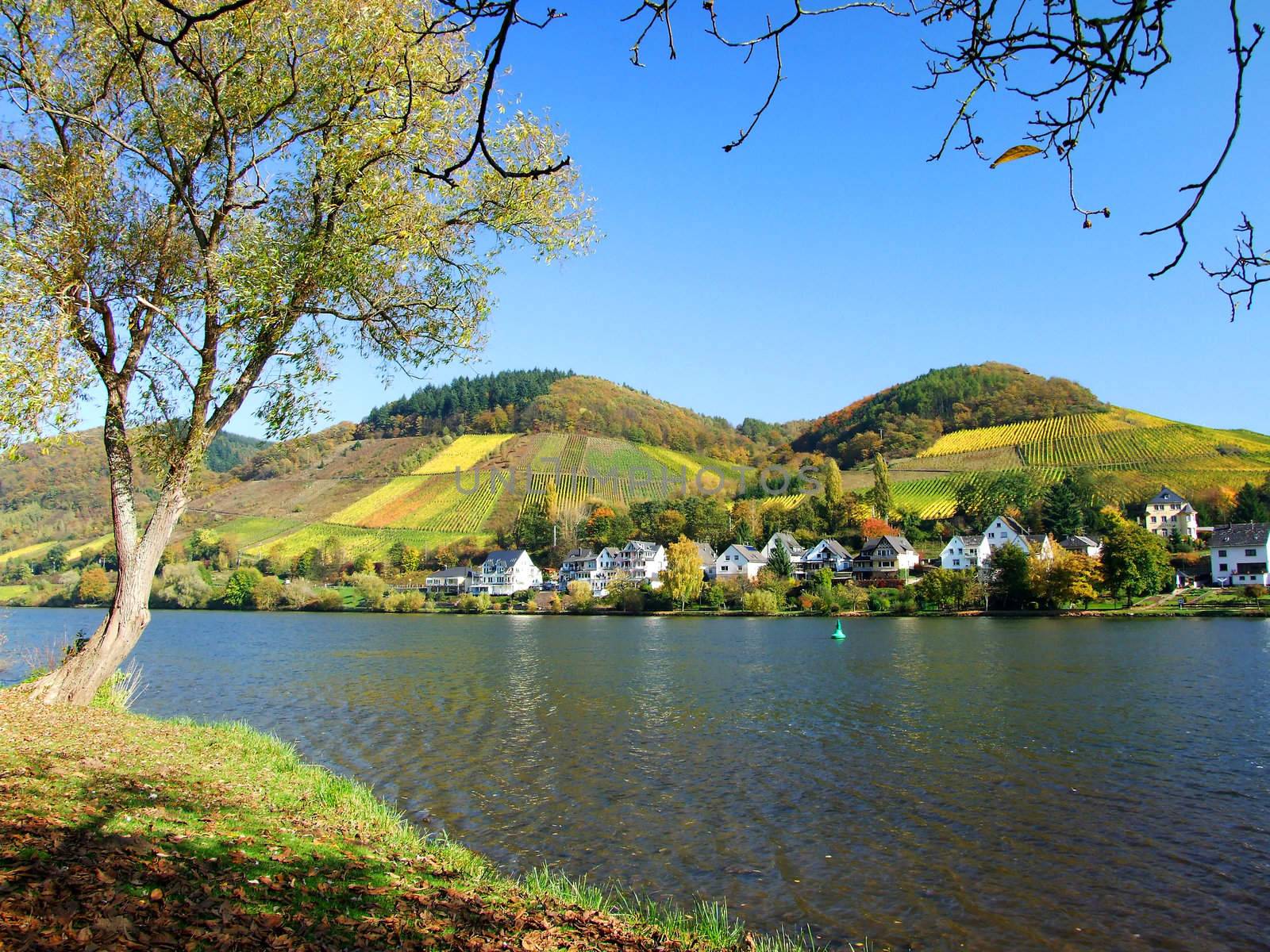 Bullay an der Mosel
