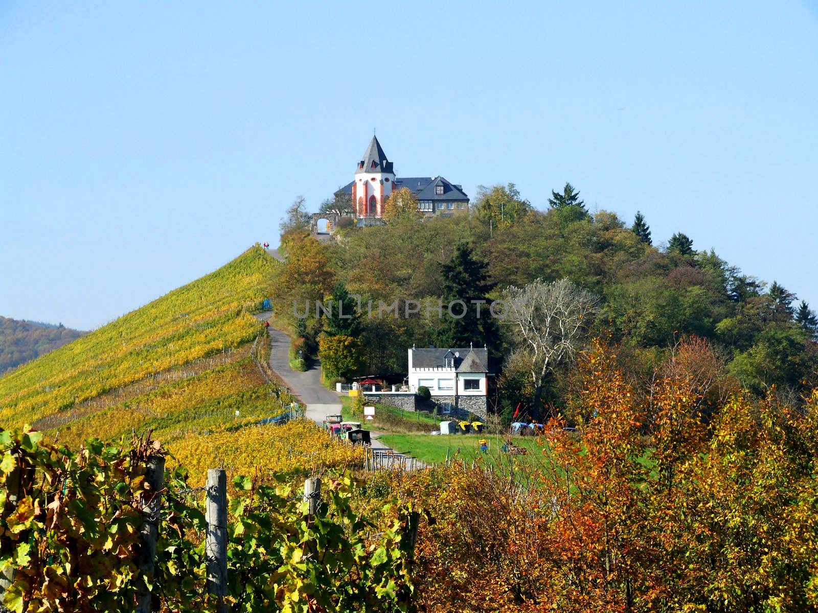 Pündericher Marienburg, Weinlage und Burg
