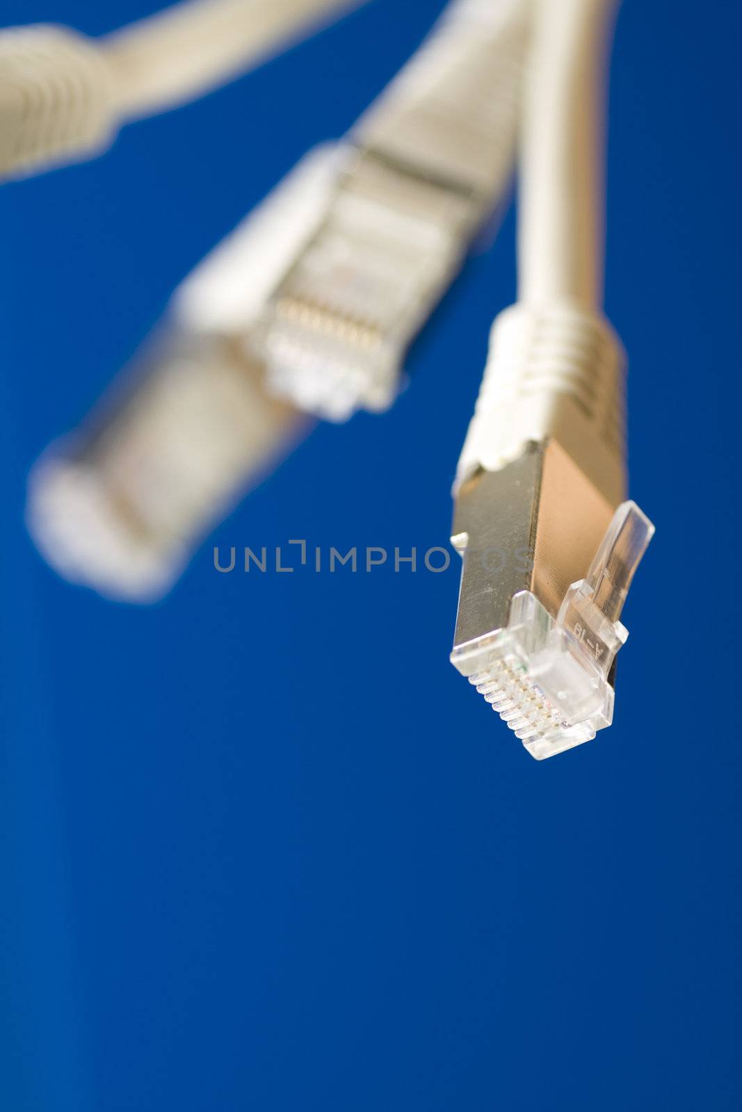 white utp cat5 network cables blue background