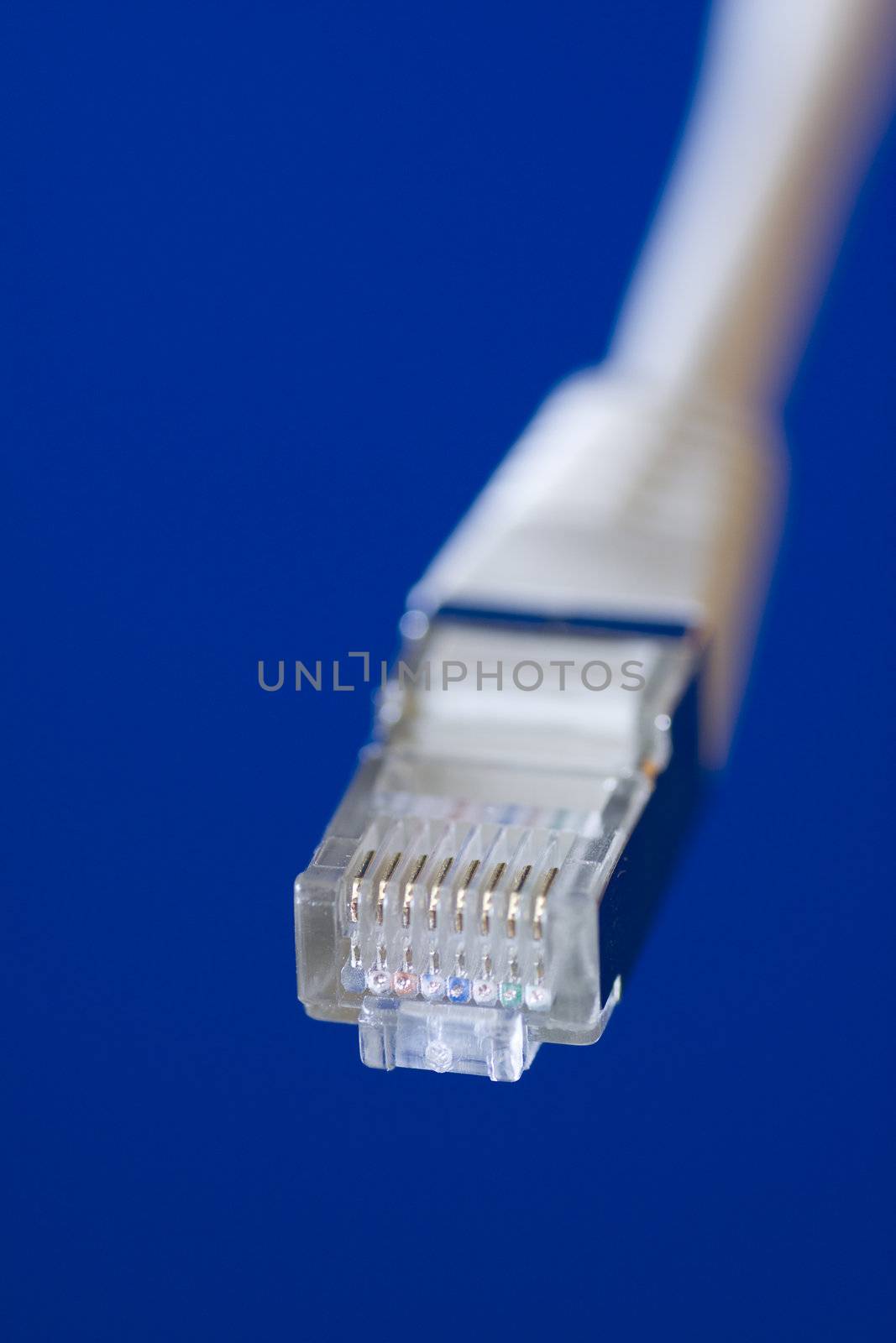 white utp cat5 network cableon blue background