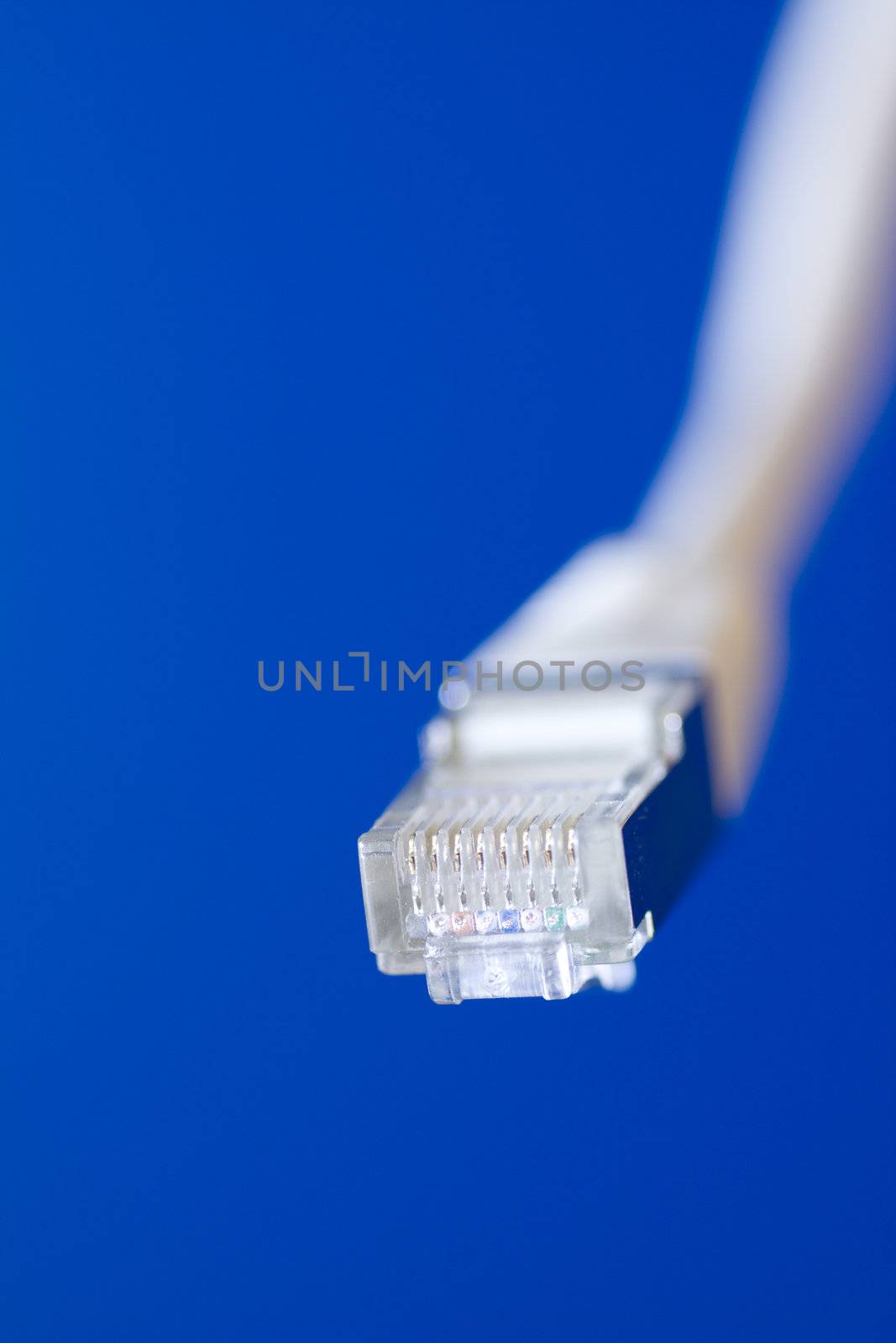 white utp cat5 network cableon blue background