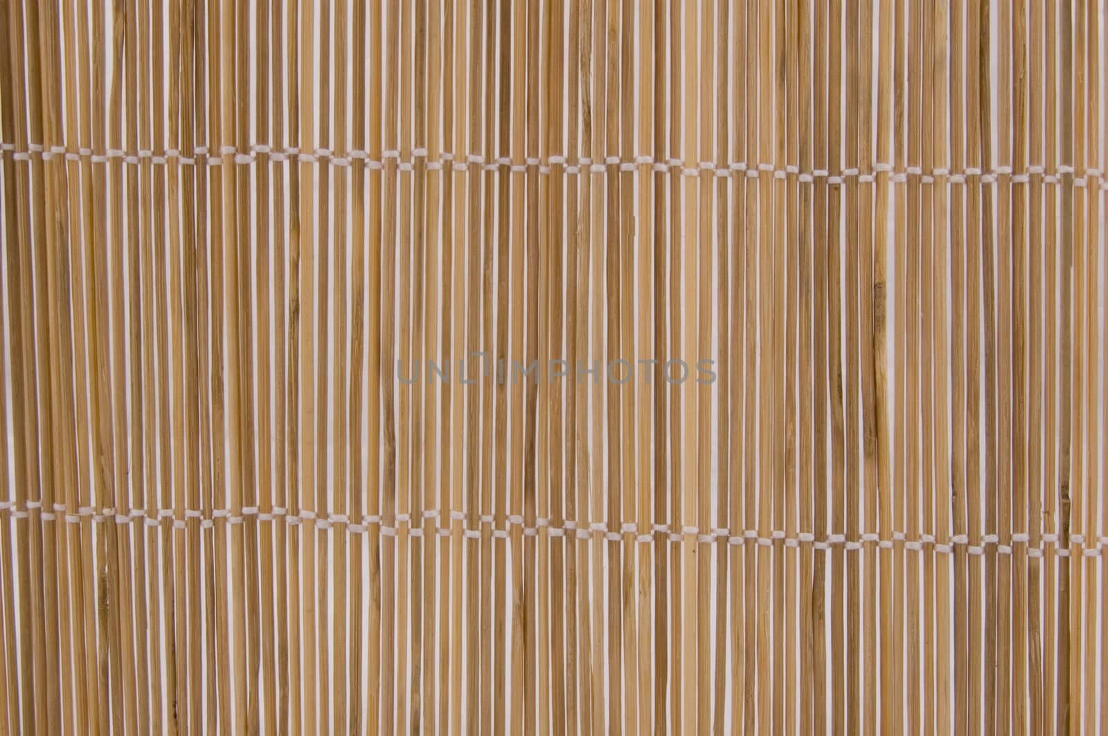 bamboo background