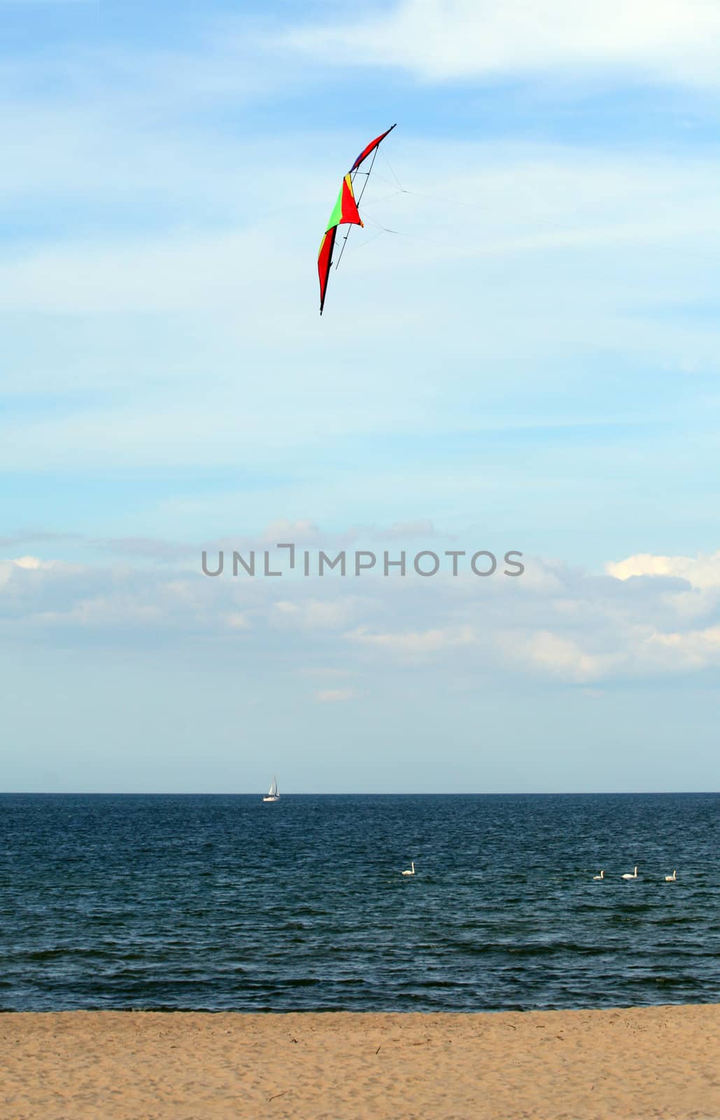 Colorful flying kite over the beach
