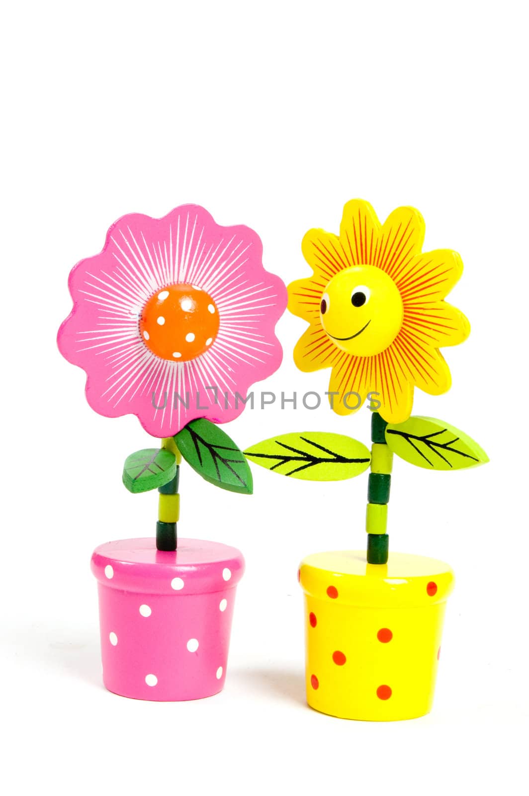 funny colorful pink and yellow flower isolated on white