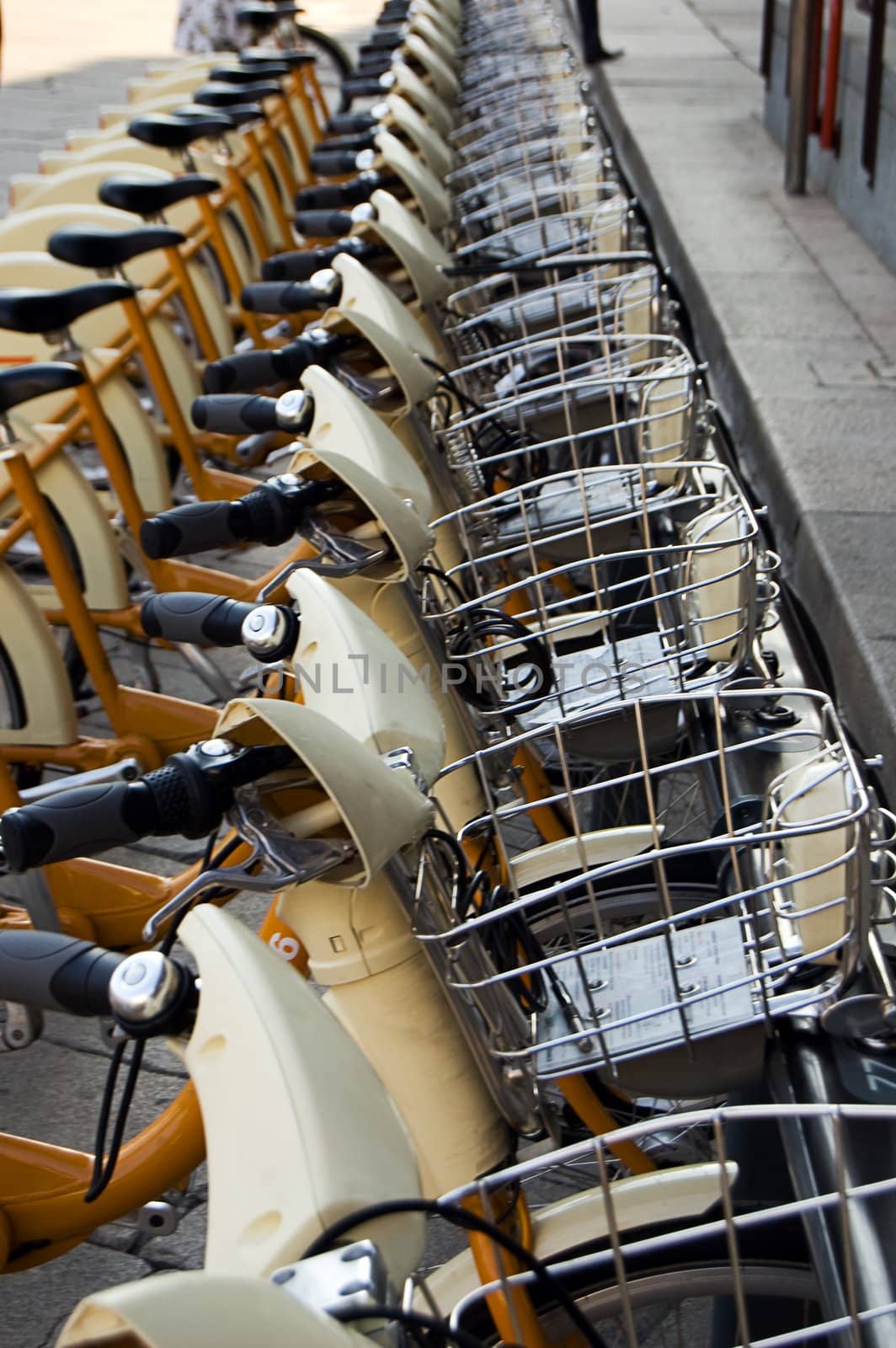 A park for ecological city bike sharing