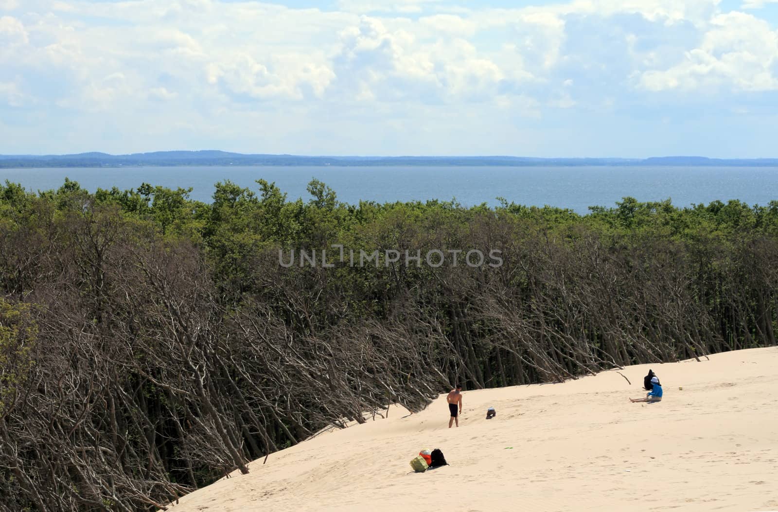 Moving sand dunes are destroying the forests at Leba - Poland