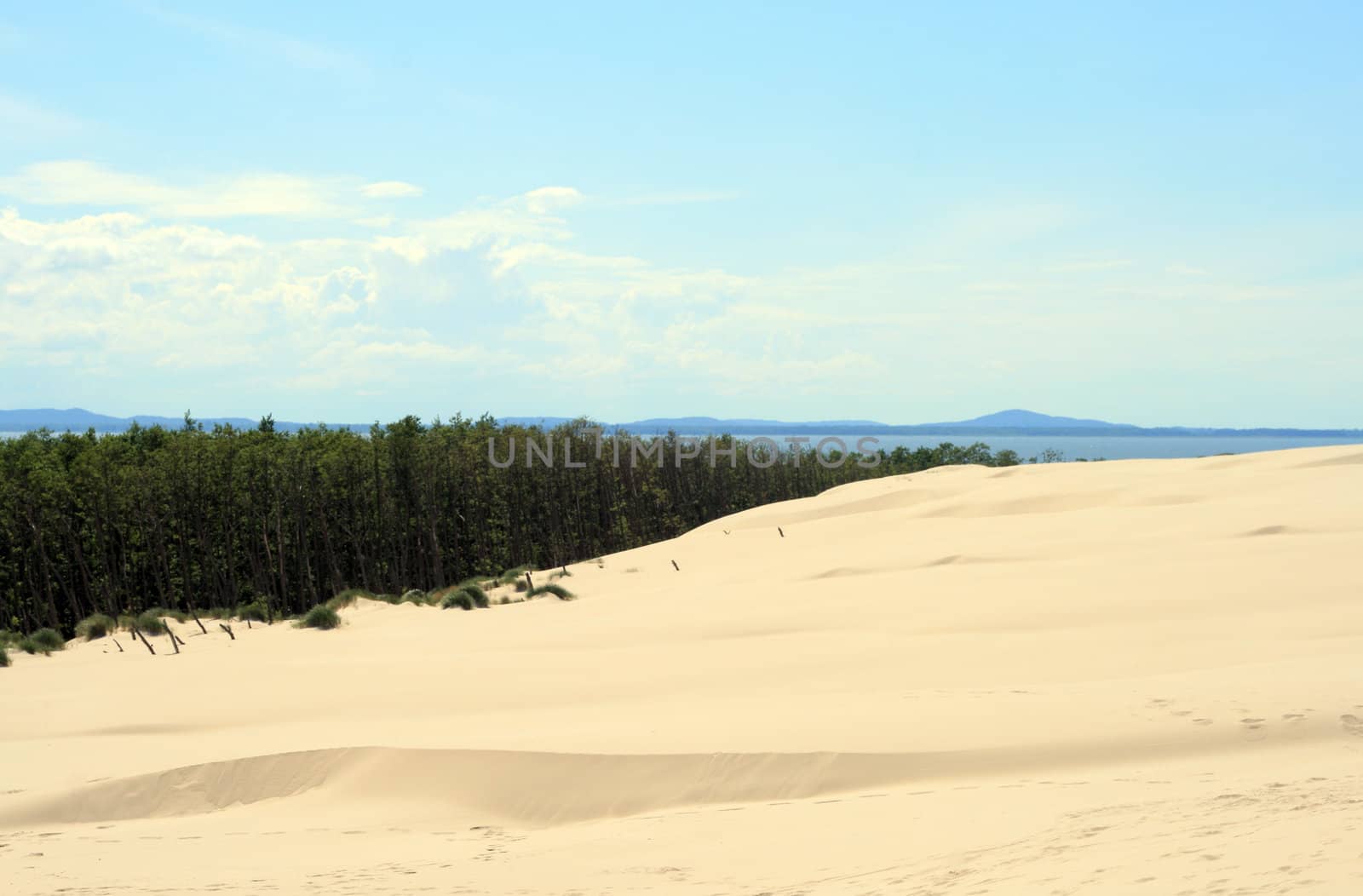 Landscape with sand dunes, forest and the sea at Leba - Poland
