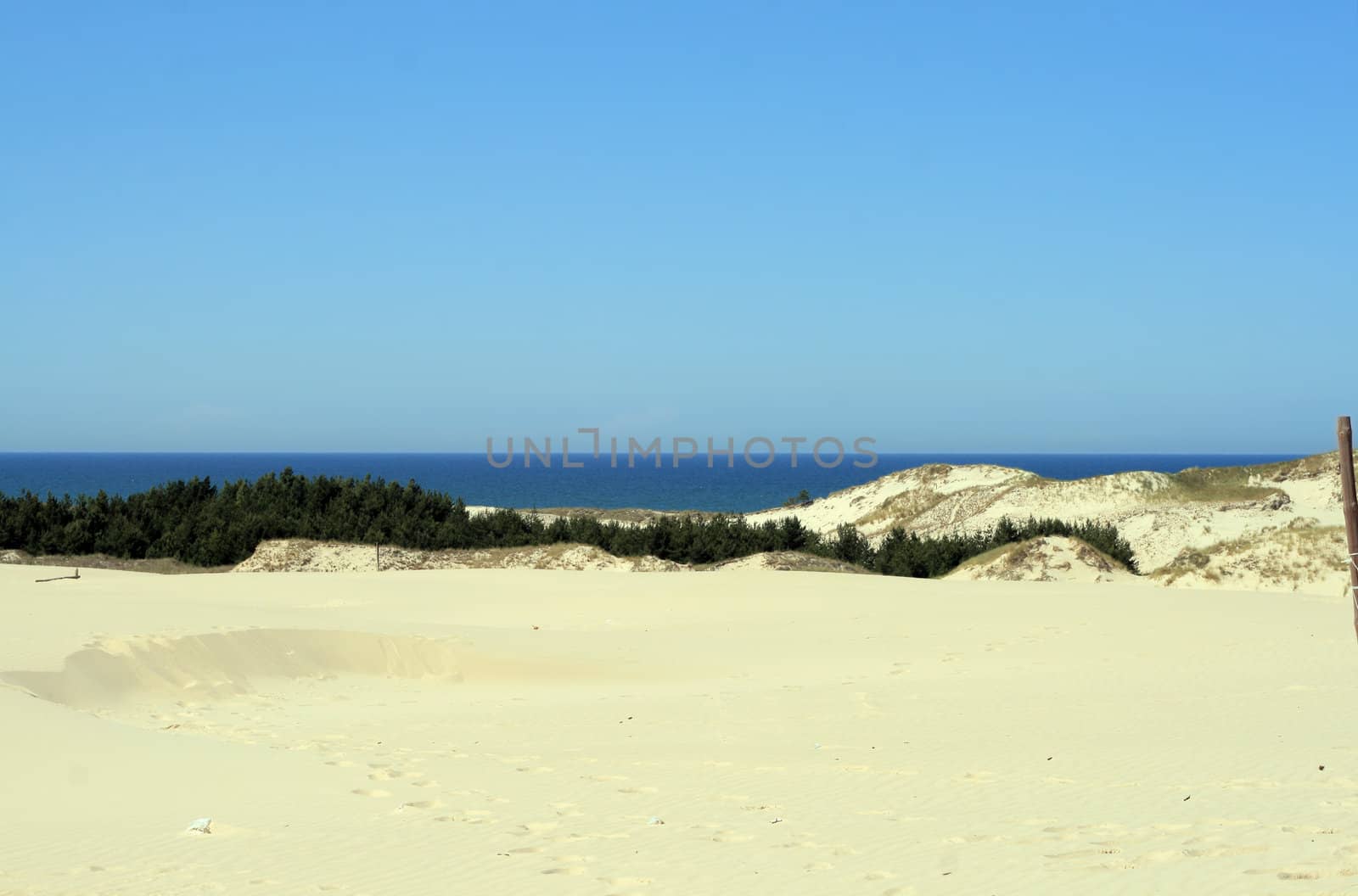 Landscape with sand dunes, forest and the sea at Leba - Poland
