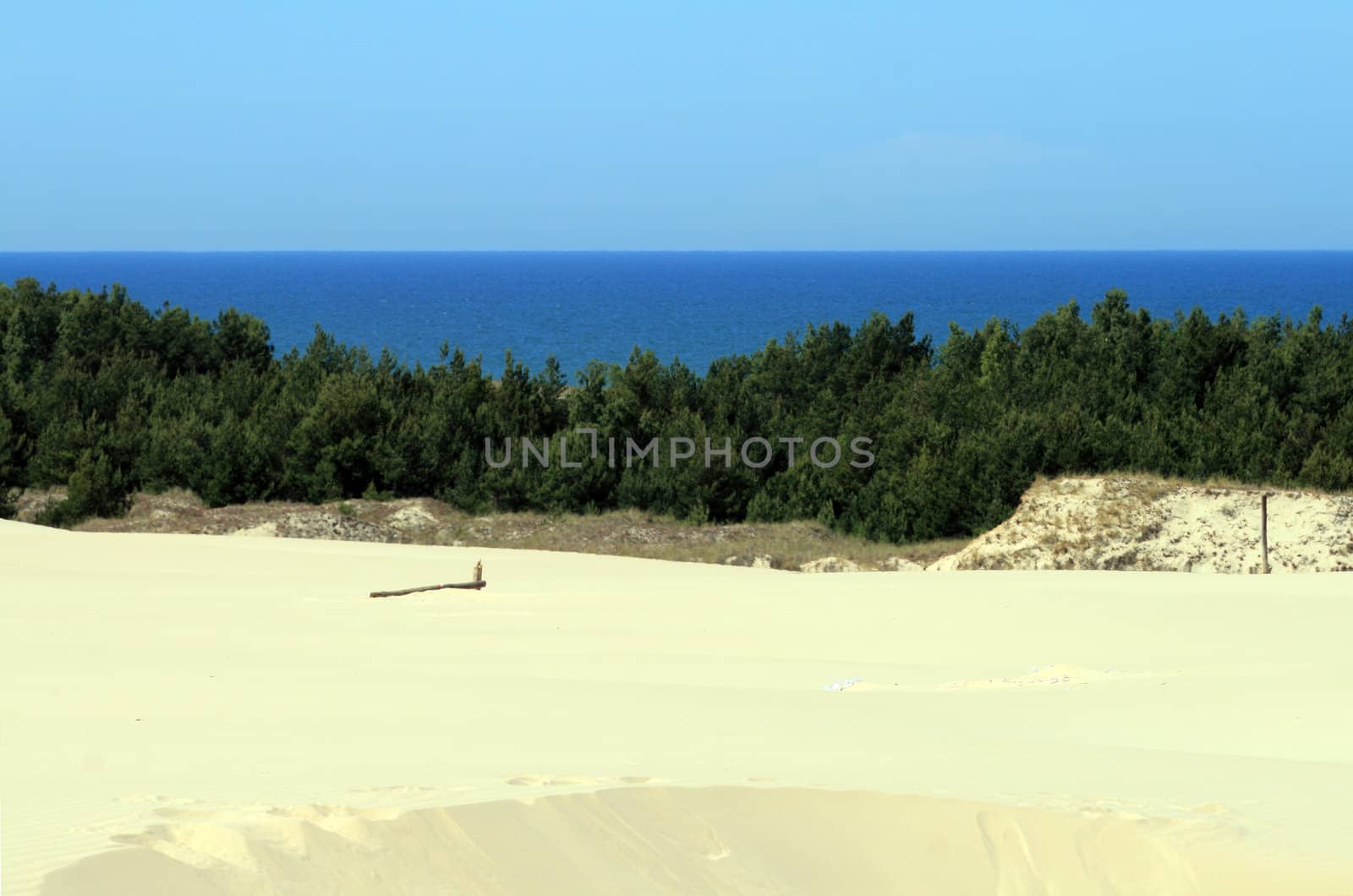 Landscape with sand dunes, forest and the sea at Leba - Poland
