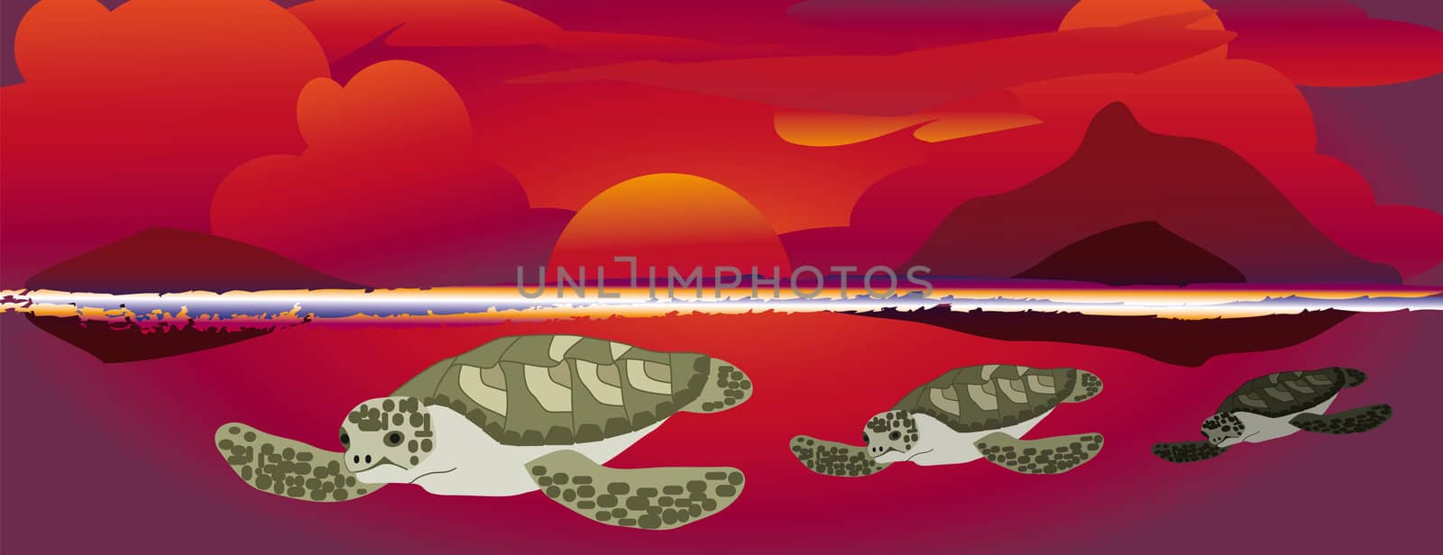 sunset swimming sea turtles by karinclaus