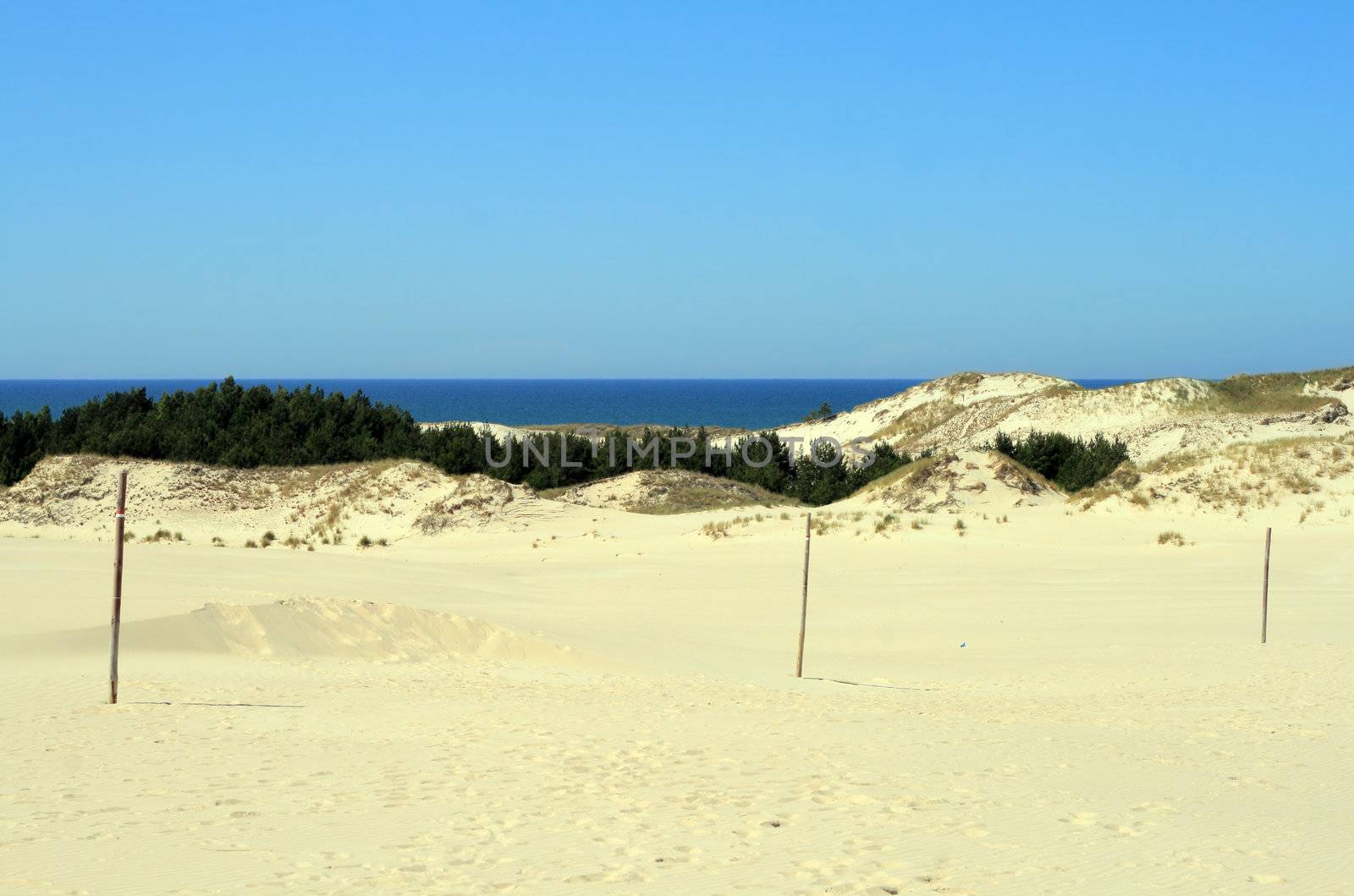 Landscape with sand dunes, forest and the sea at Leba - Poland