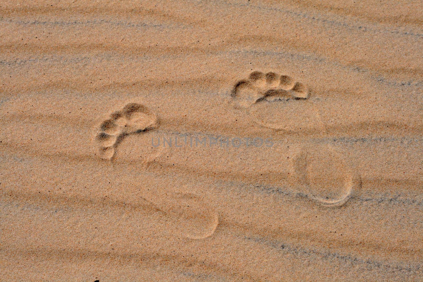 Footprints on the rippled sand at the beach
