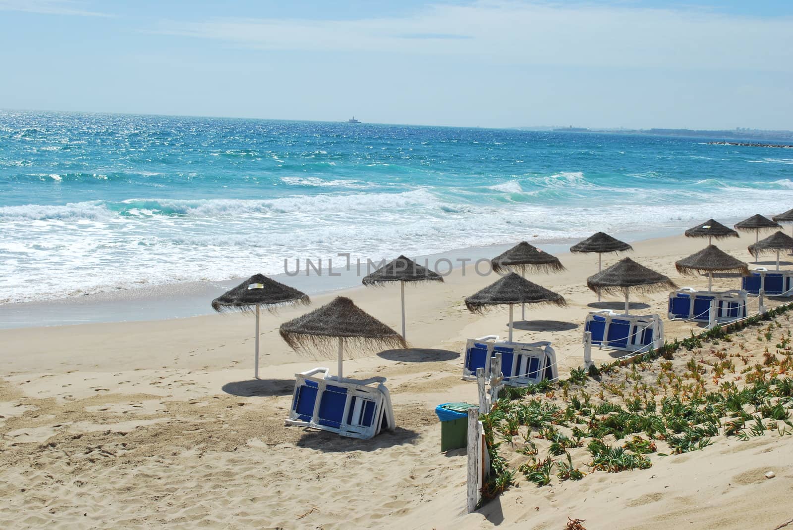 Beach scene with coconuts area by luissantos84