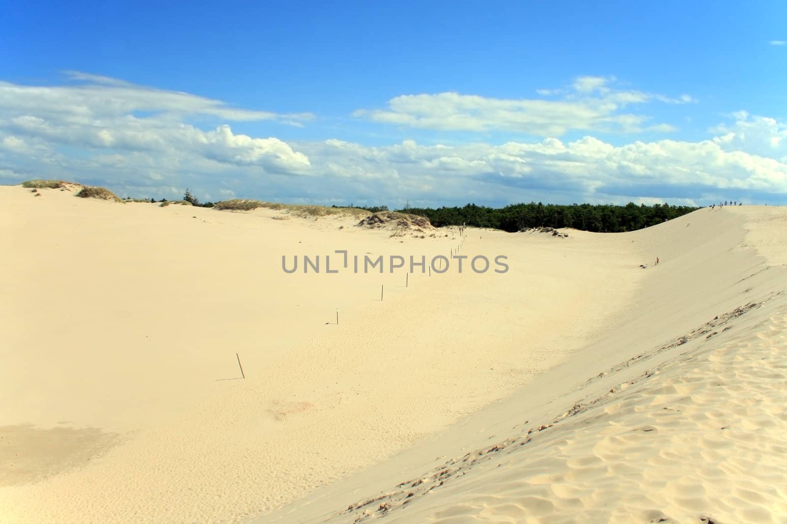 Sand dunes by remik44992