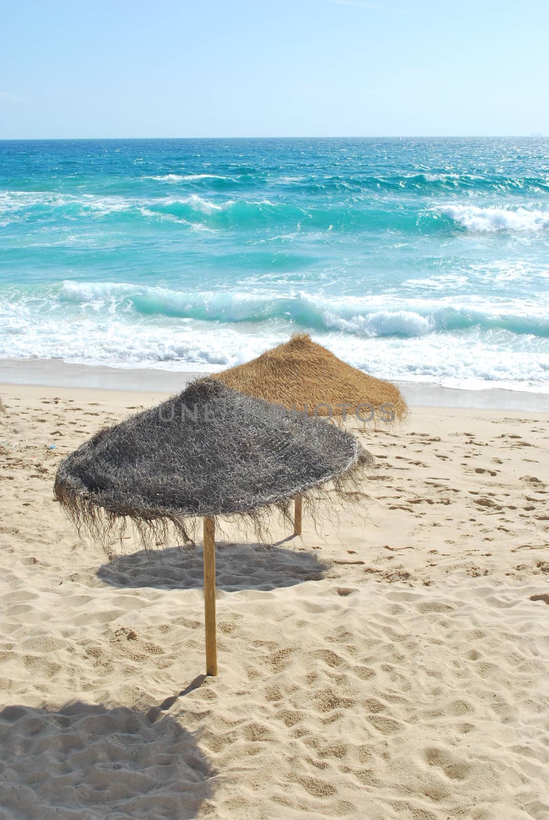 Beach scene with coconuts area by luissantos84