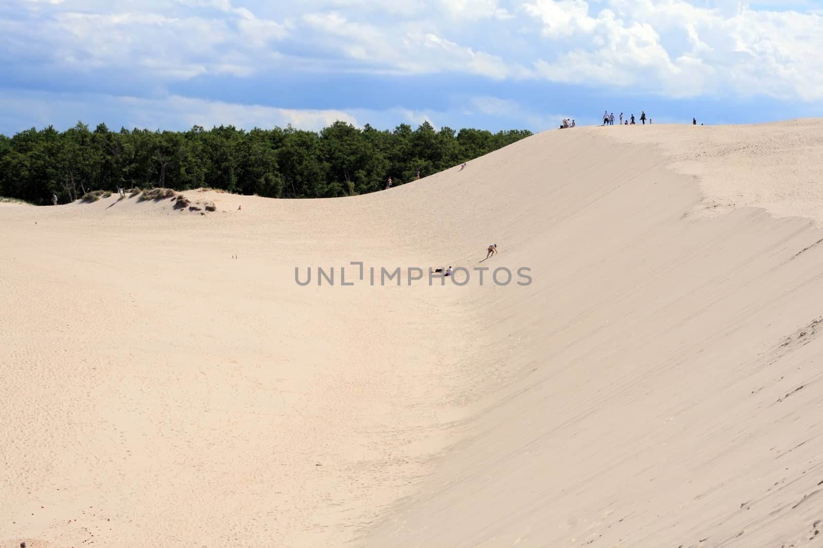 Landscape at the sand dunes at Leba - Poland
