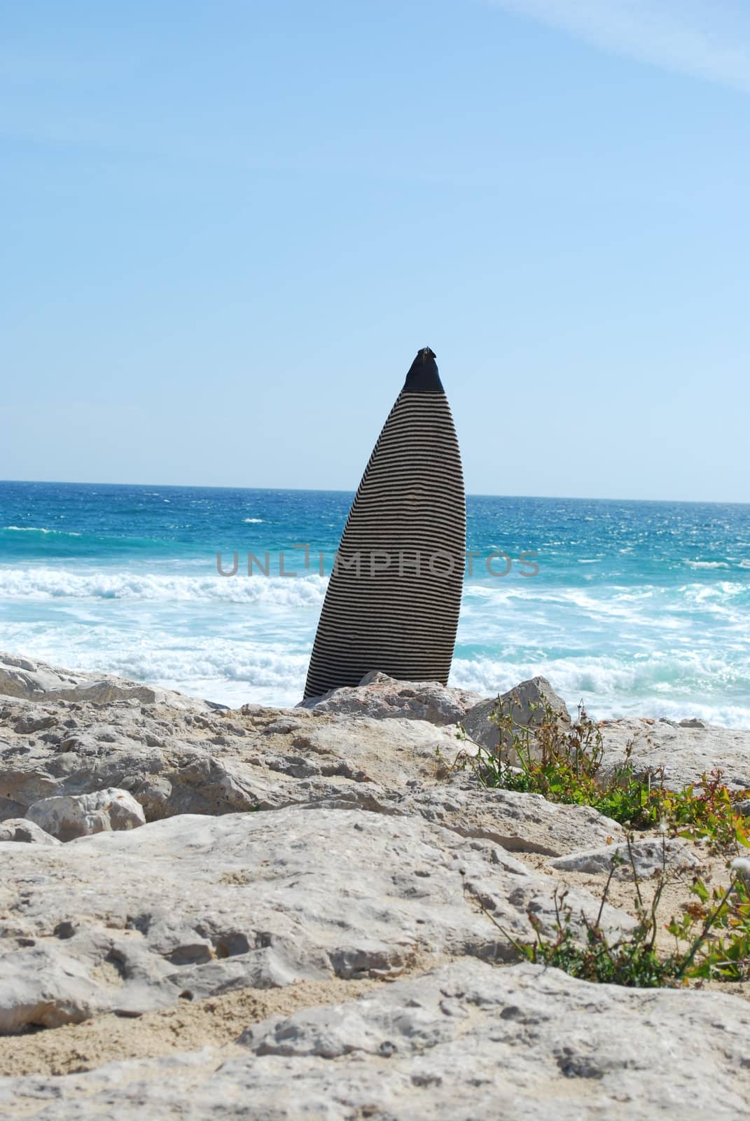 beautiful scene with a surfboard at the beach