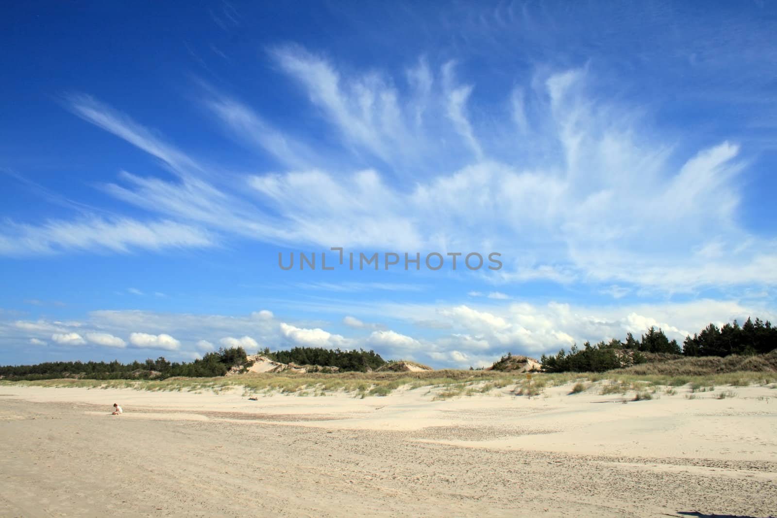 Sand dunes and forests at Leba - Poland
