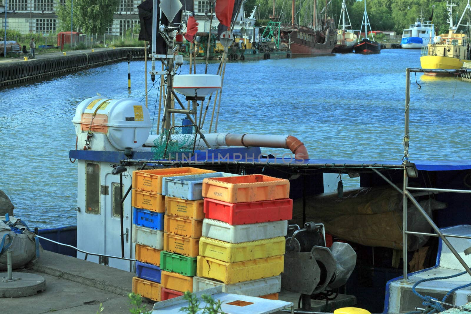 Fishing stand in a market with color boxes with fishes
