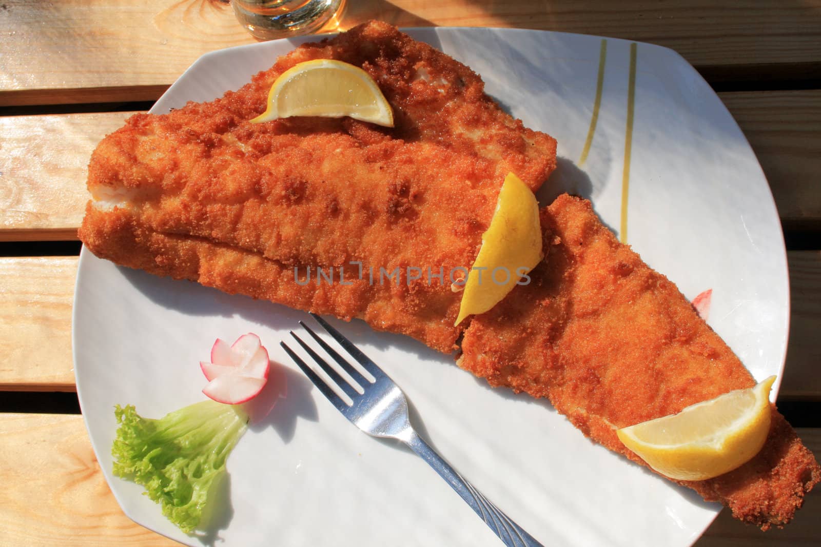Traditional deep fried fish with lemon, radish and glass of beer
