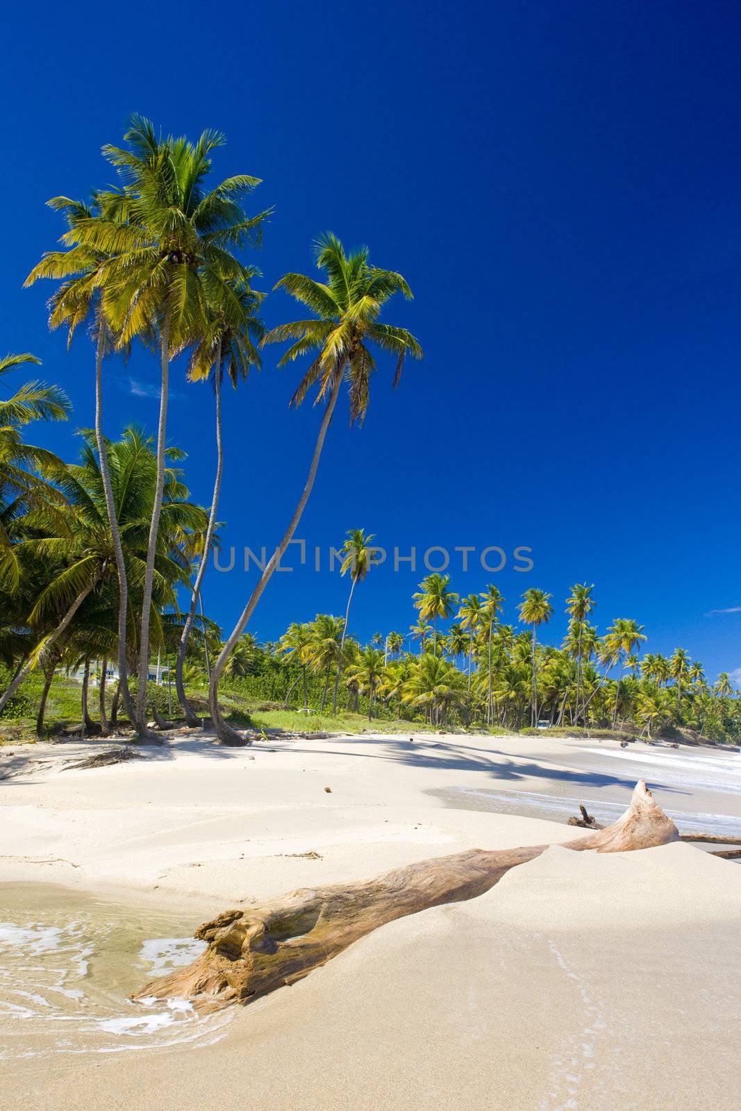 Cumana Bay, Trinidad, Trinidad and Tobago