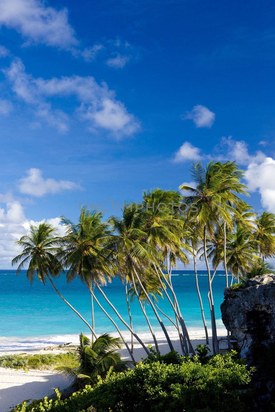 beach of Bottom Bay, Barbados