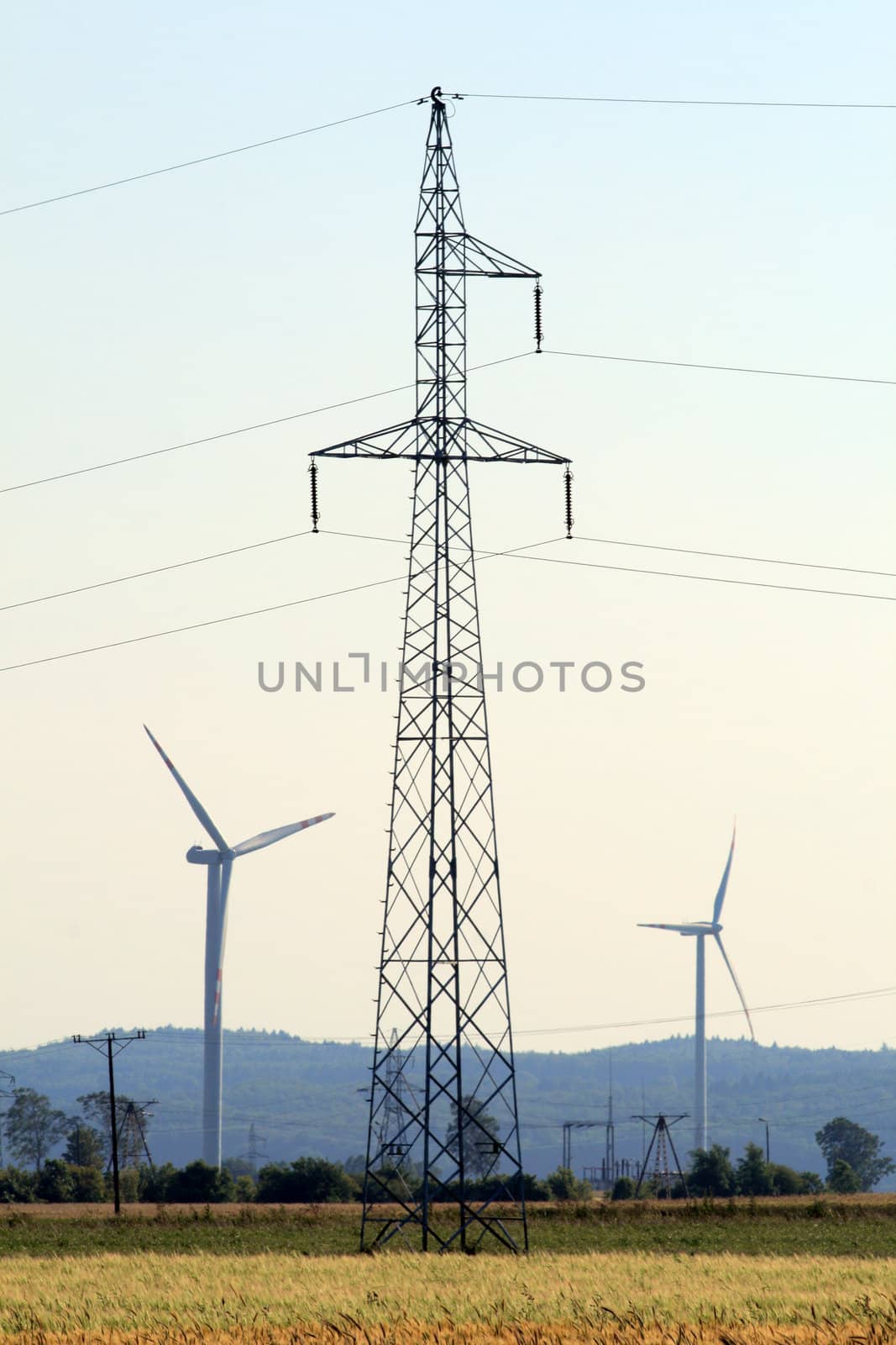 Summer landscape with rye field, wind turbines and electric poles
